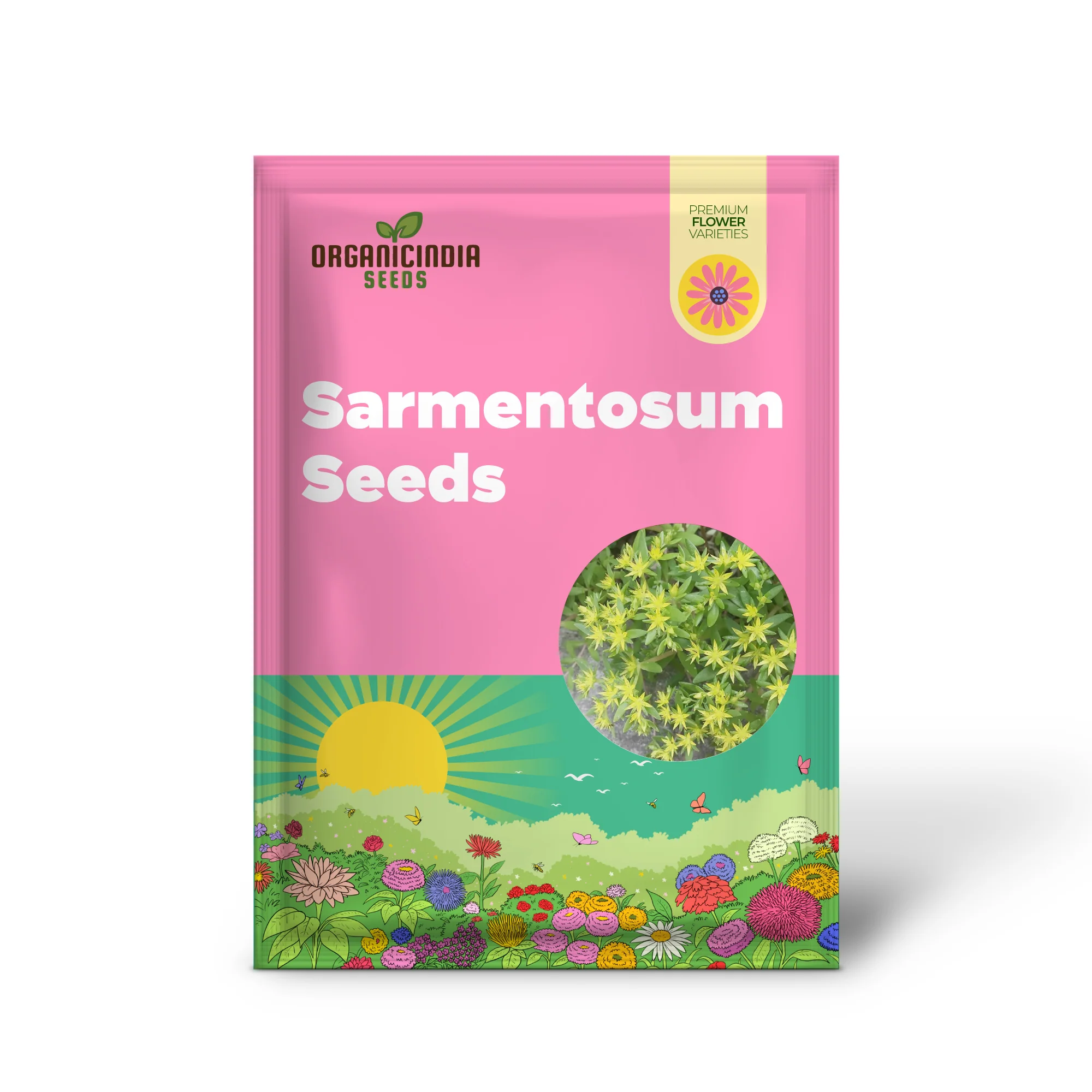 Sedum Sarmentosum Succulent Seeds for Planting - Fast Growing, Easy to Care, Drought Tolerant, Low Maintenance (20 Pieces) - Image 2