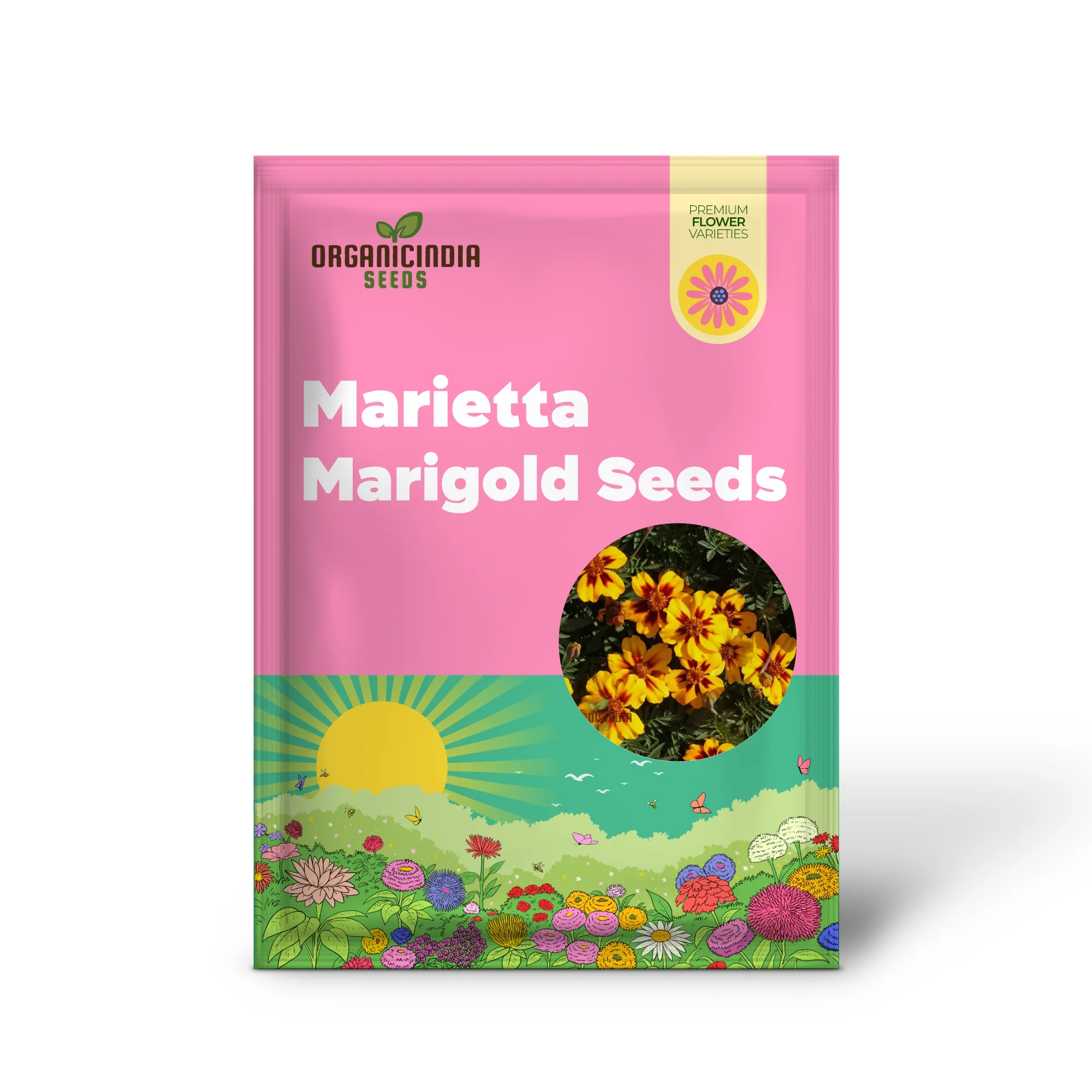 SeedNaughty Marietta Marigold Seeds Premium Quality Seeds for Vibrant Garden Blooms and Successful Gardening - Image 2