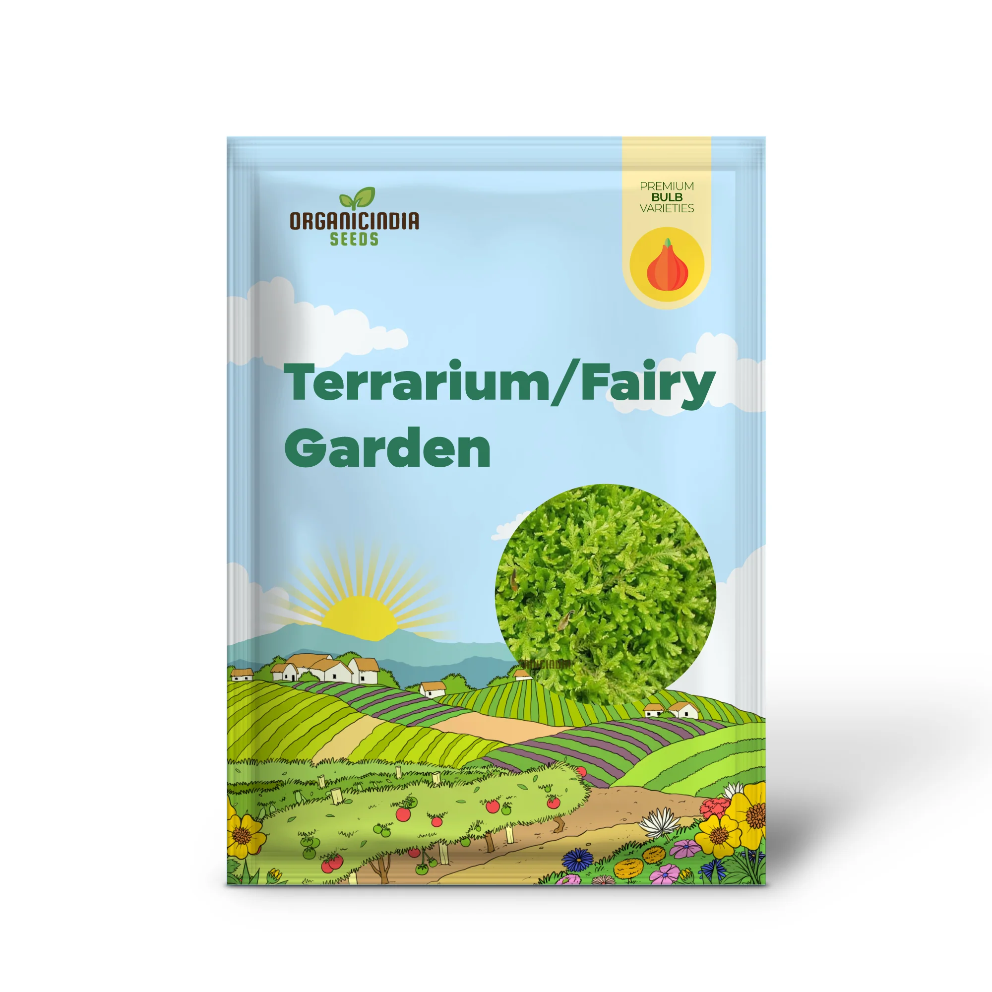 Selaginella kraussiana Aurea Terrarium, Fairy Garden (3 Bulbs for Planting) - Image 2