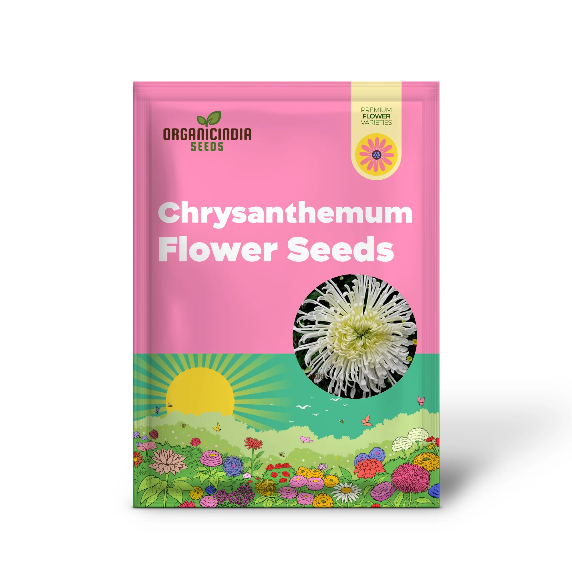 Chrysanthemum Seeds (Semi Bonsai Chrysanthemum Seeds) - Compact Colorful Blooms for Gardens - Image 2