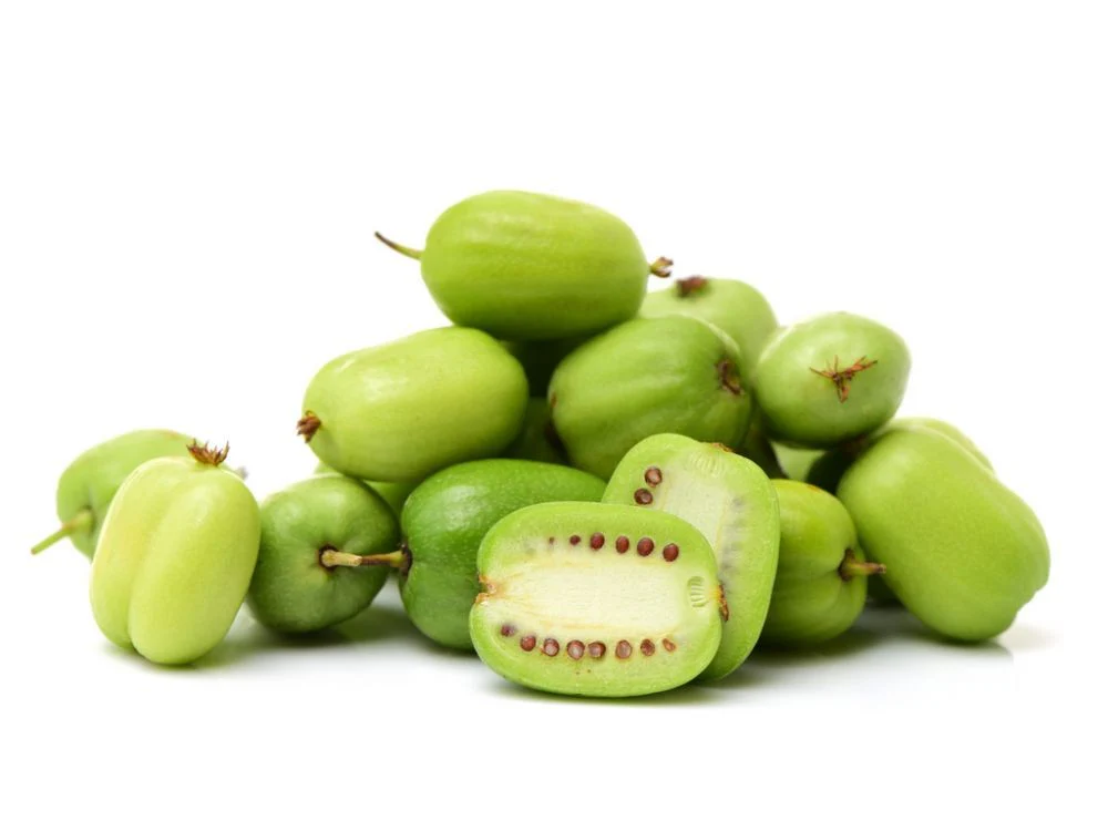Sentyabraskaya Kiwi Seeds for Planting – Grow Sweet & Cold-Hardy Kiwi Fruits - Image 3