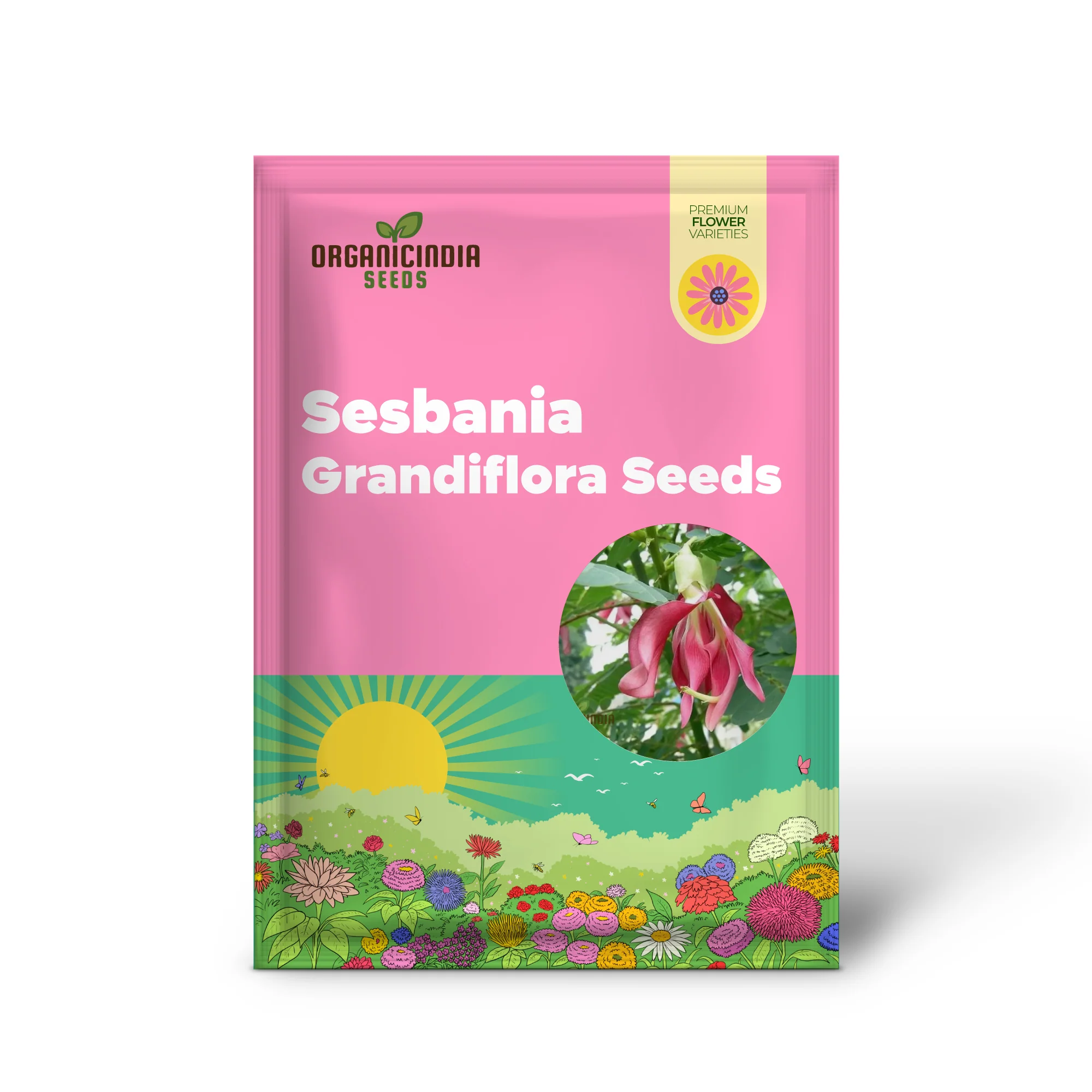 Sesbania Grandiflora Pink Seeds - Rare Exotic Flowering Tree Seeds for Garden Planting | Premium Quality Gardening Seeds - Image 2