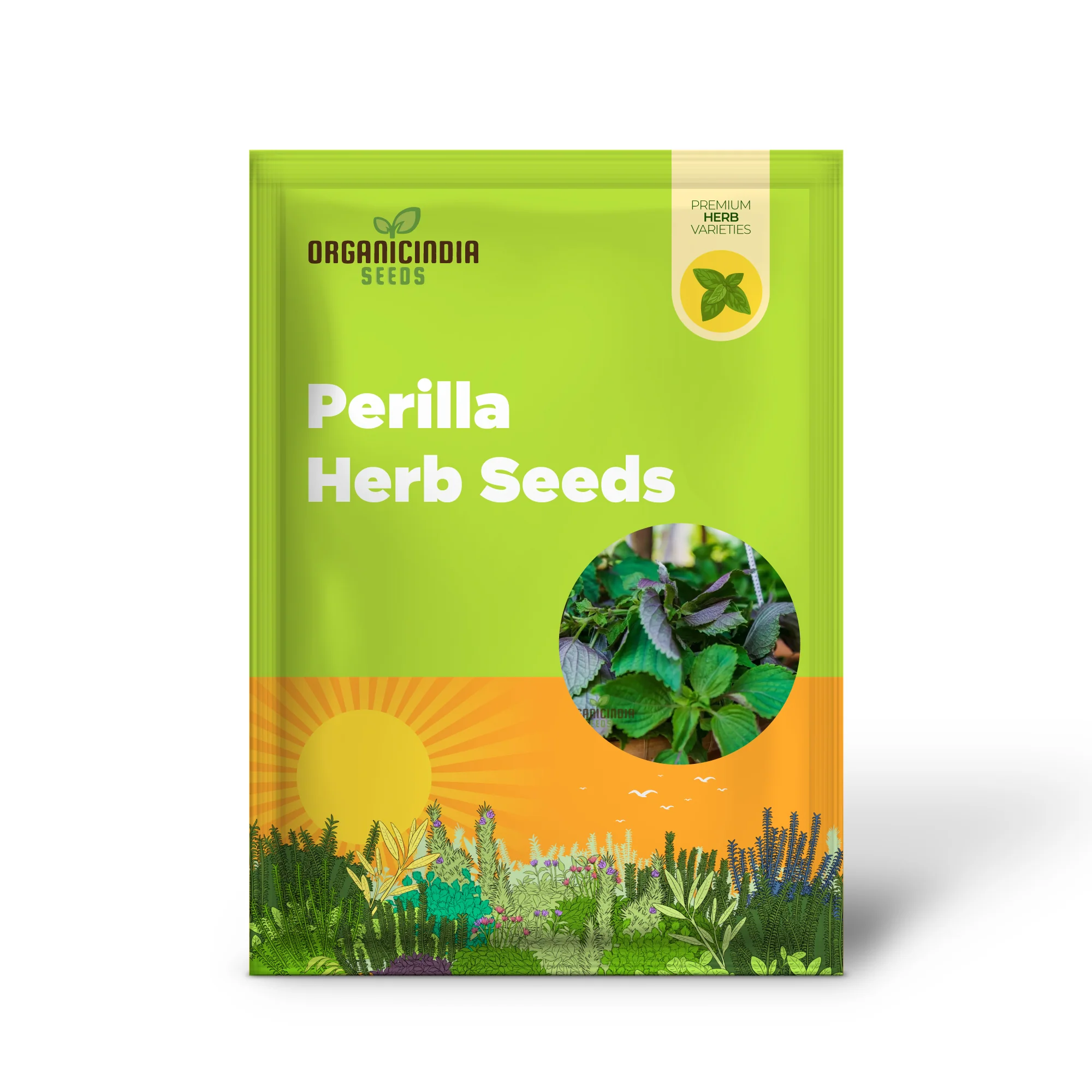 Shiso Seeds – Jeok Ssam Ip Perilla Herb, Fresh Red Shiso Leaves for Home Growing - Image 2