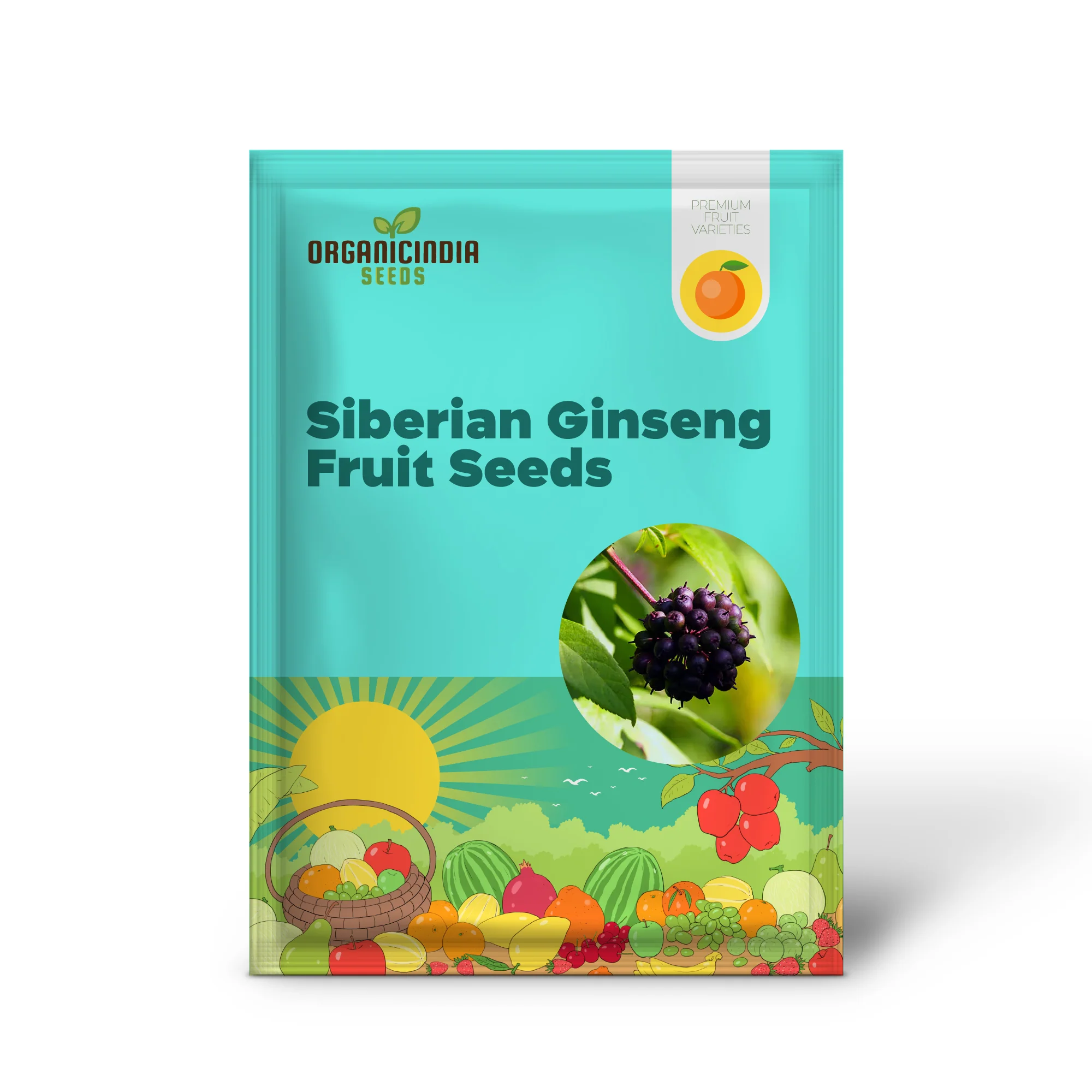 Siberian Ginseng Fruit Seeds Elevate Your Gardening with Medicinal Blooms and Bountiful Harvests - Image 2