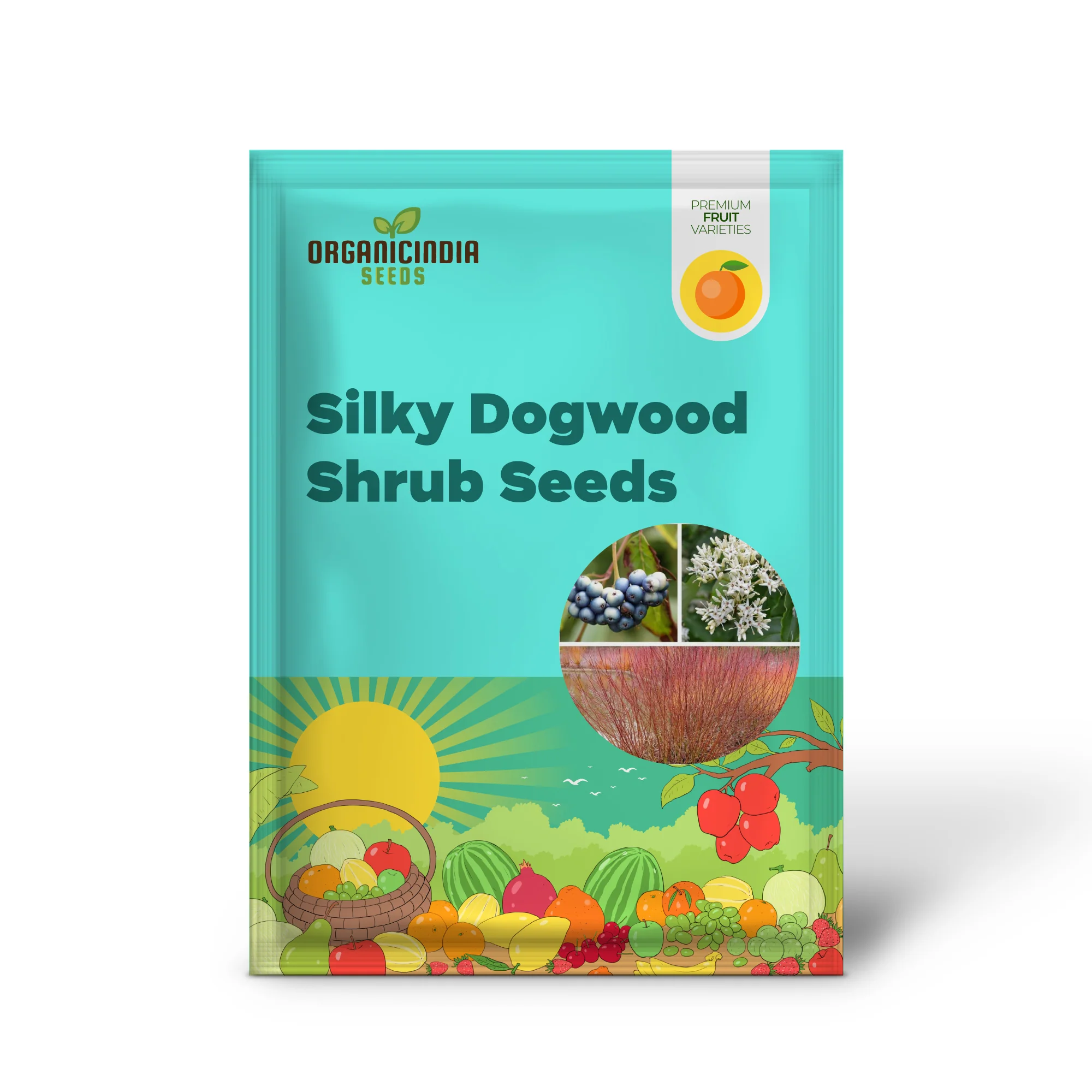 Silky Dogwood Shrub (Cornus amomum syn. Coerulea) – White Flower & Silver-Blue Berry Seeds (Kinnikinnik, Red Willow) - Image 2