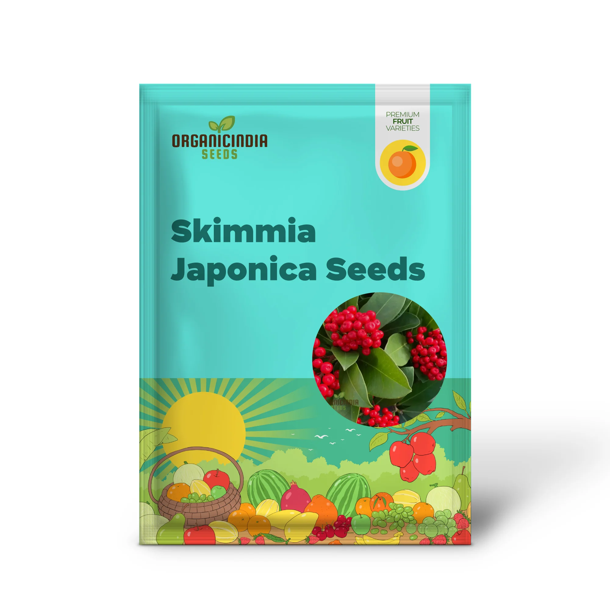 Skimmia Japonica Seeds for Planting - Grow Beautiful Evergreen Shrubs - Image 2