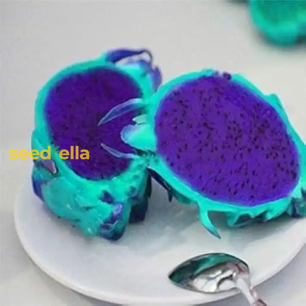 Sky Blue Pitaya Fruit Seeds for Planting - Grow Exotic, Sweet Tropical Dragon Fruit at Home