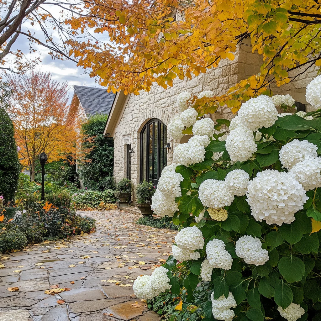 Snow Queen Hydrangea Seeds – Elegant White Cone Blooms & Stunning Fall Foliage - Image 4