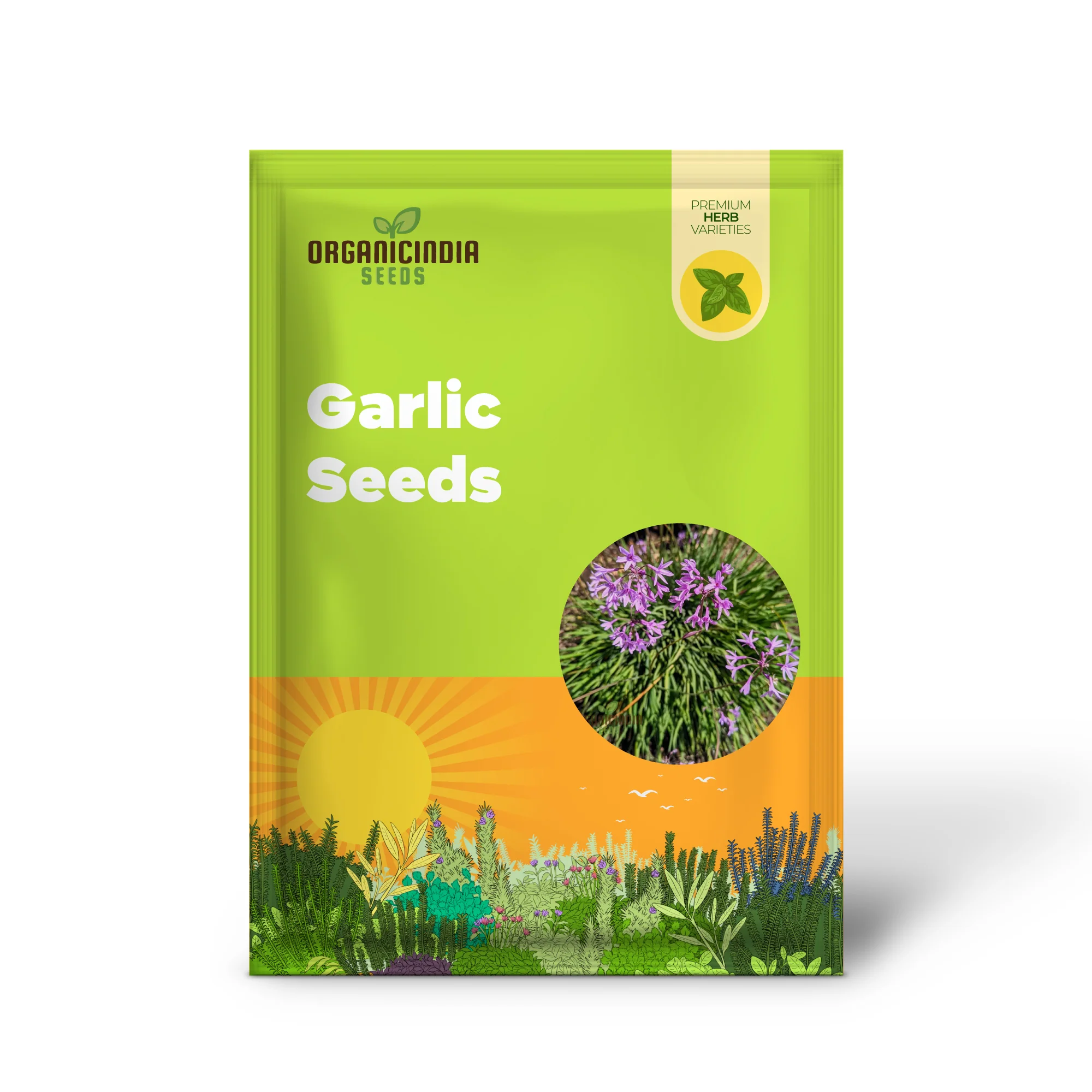 Society Garlic Seeds – Ornamental, Aromatic & Easy-Growing Garden Variety - Image 2