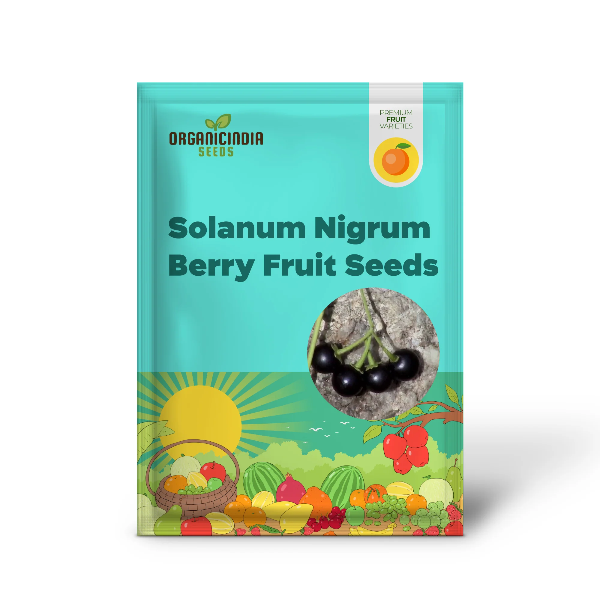 Solanum Nigrum Berry Fruit Seeds, Planting - 100 pcs - Image 2