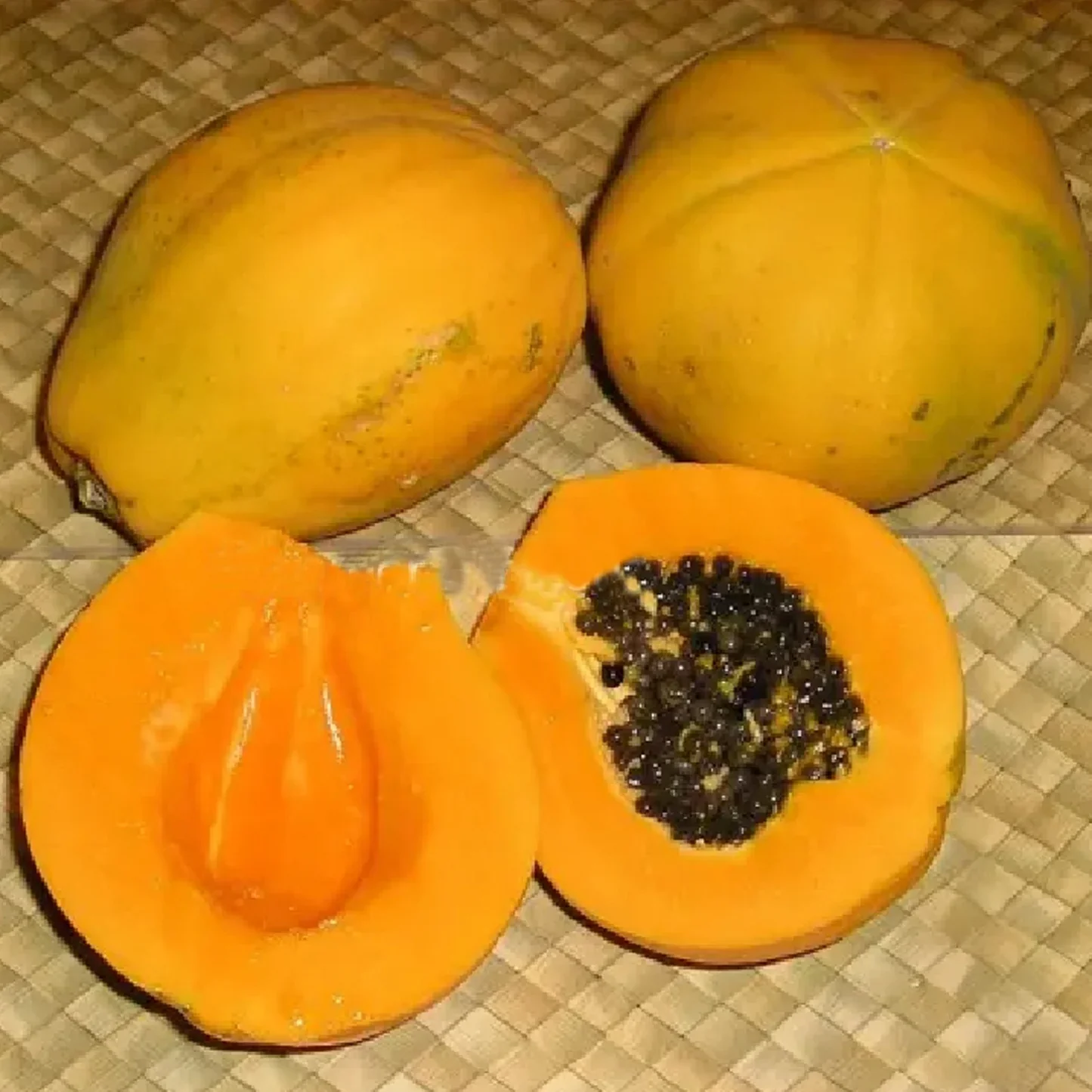 Solo Papaya Seeds for Planting – High-Yield, Sweet Tropical Fruit - Image 2