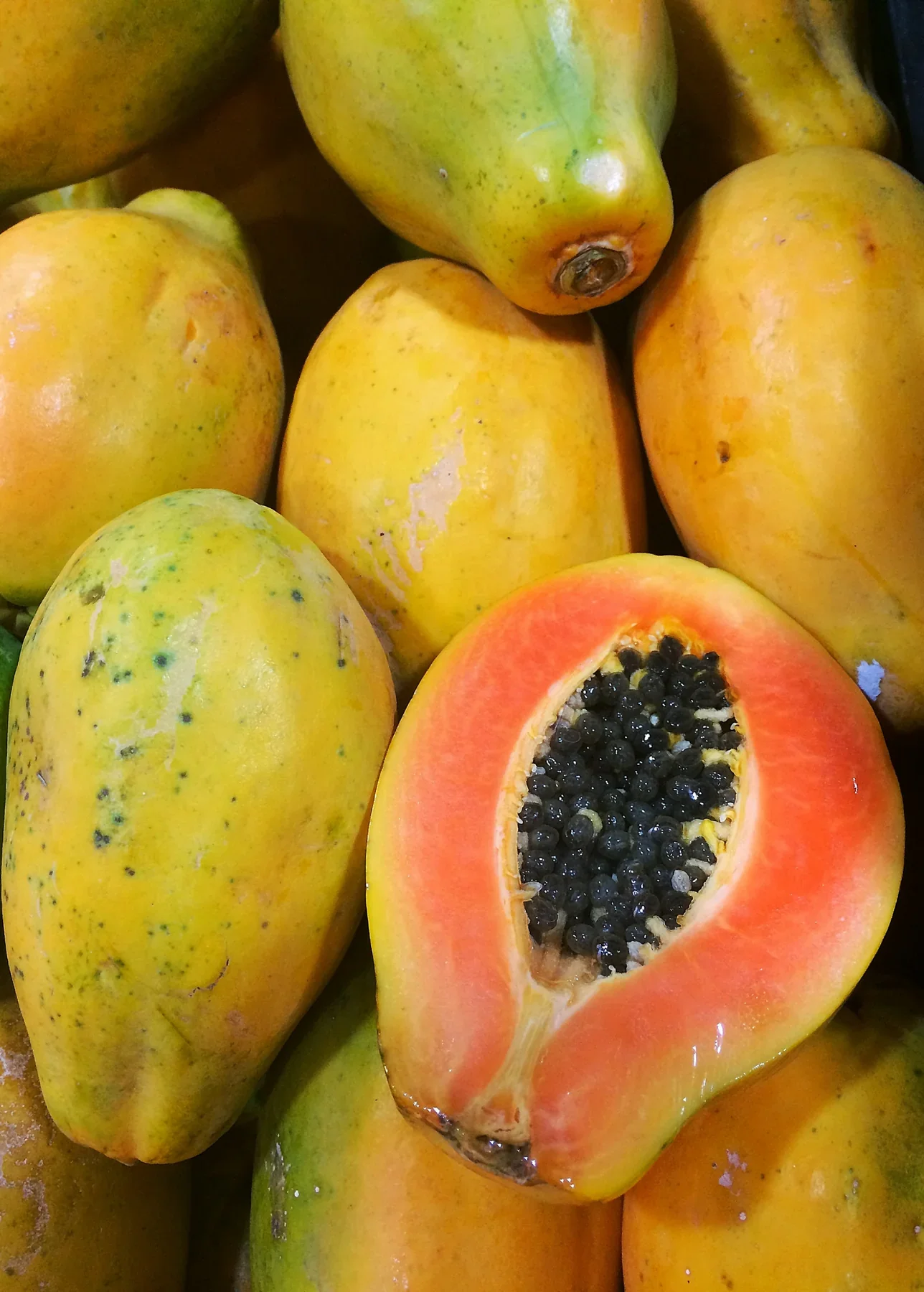 Solo Papaya Seeds for Planting – High-Yield, Sweet Tropical Fruit - Image 3