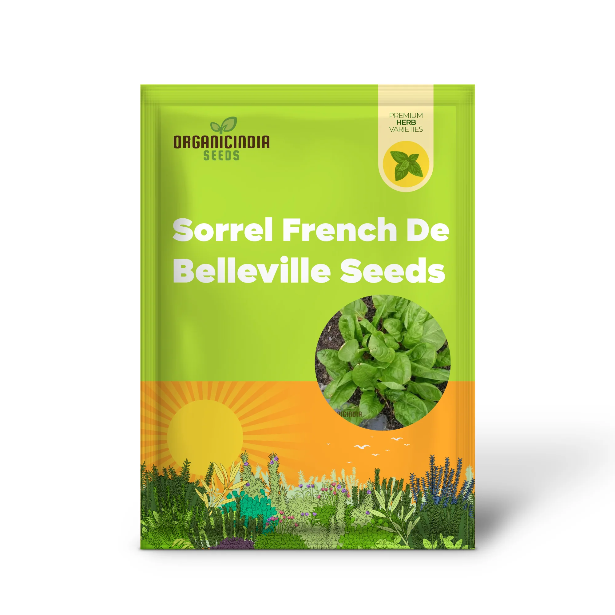 Sorrel French Green De Belleville Seeds – Premium Quality, Nutritious Leafy Herb for Garden & Kitchen Use - Image 2