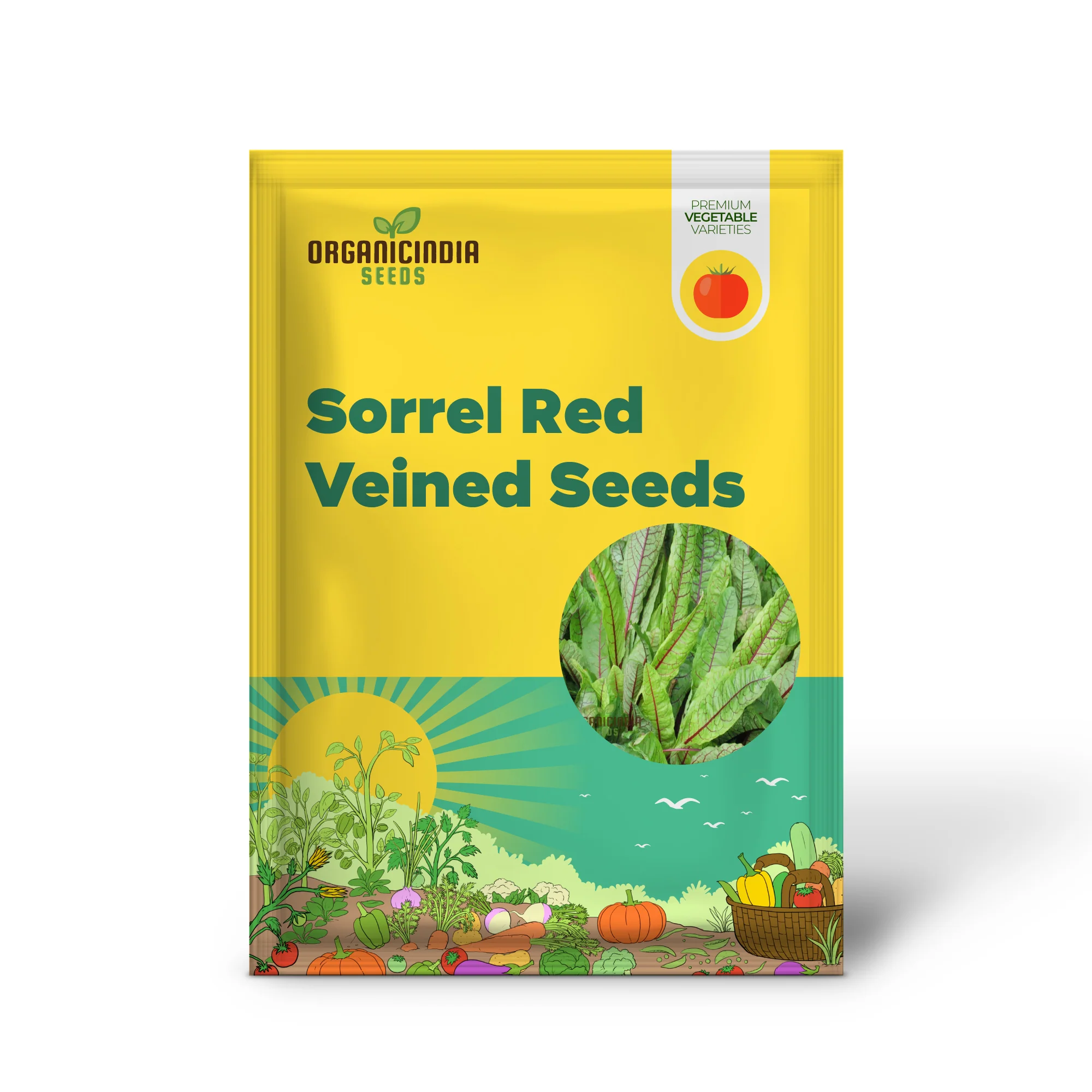 Sorrel Red Veined Vegetable Seeds, Heirloom Nutritious Ideal for Salads and Culinary Uses - Image 2
