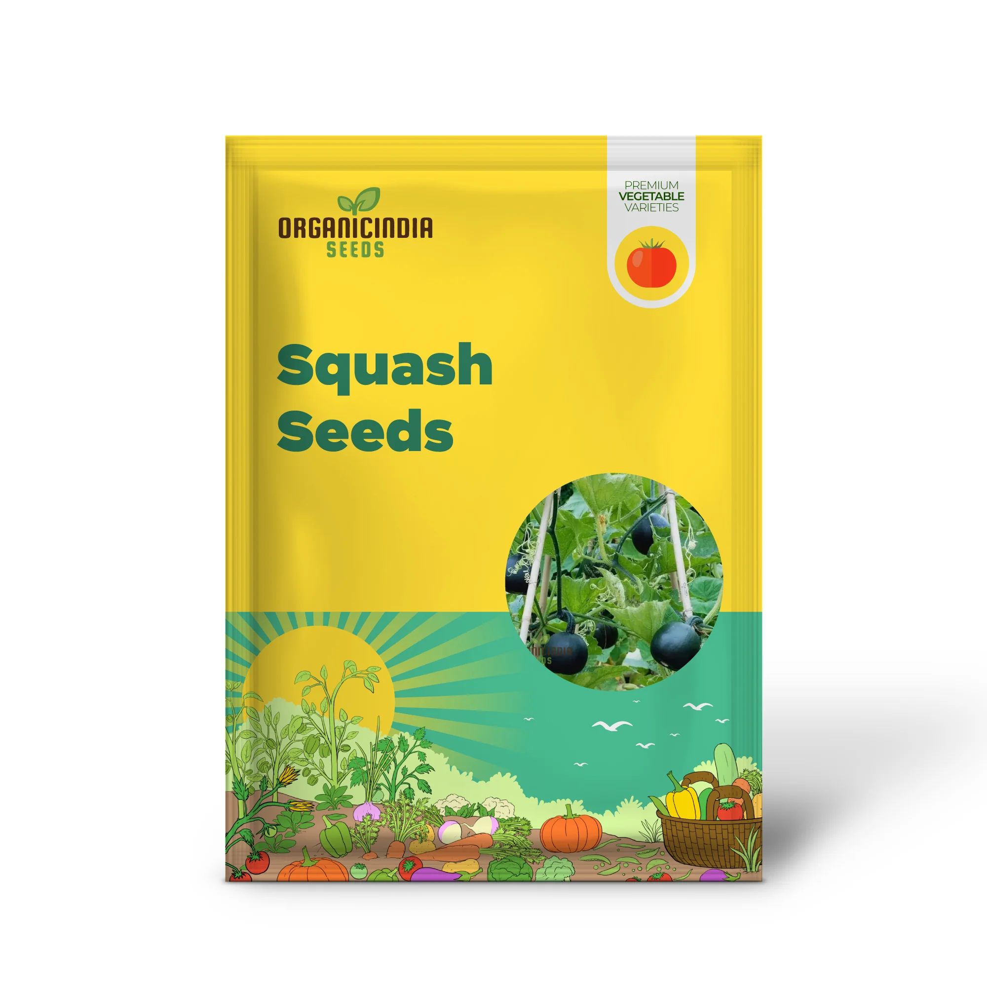Squash 'Little Gem Rolet' Seeds For Planting: Hardy Gardening Variety for Your Vibrant Garden - Image 2