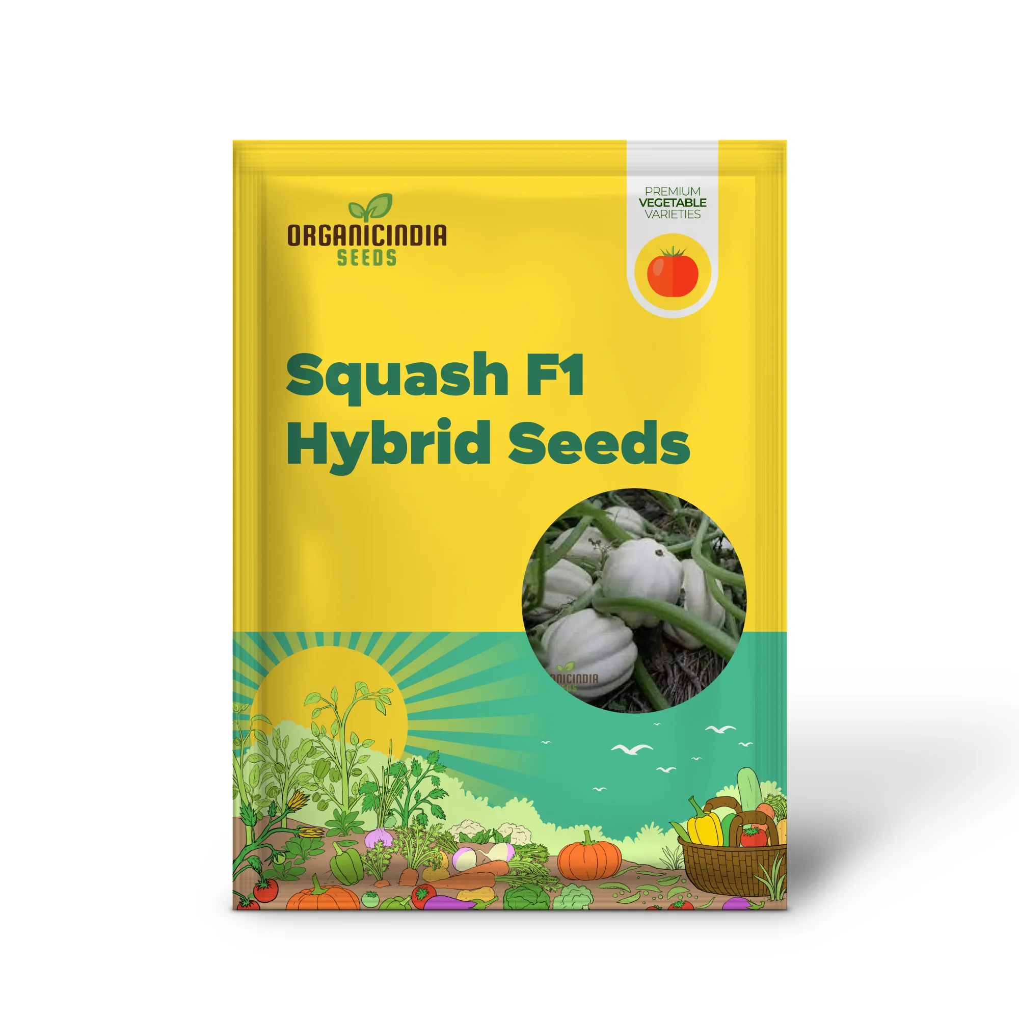 Squash 'Mashed Potatoes' F1 Hybrid Seeds High-Yield Gardening Variety, Easy to Grow, Perfect for Home Gardeners - Image 2