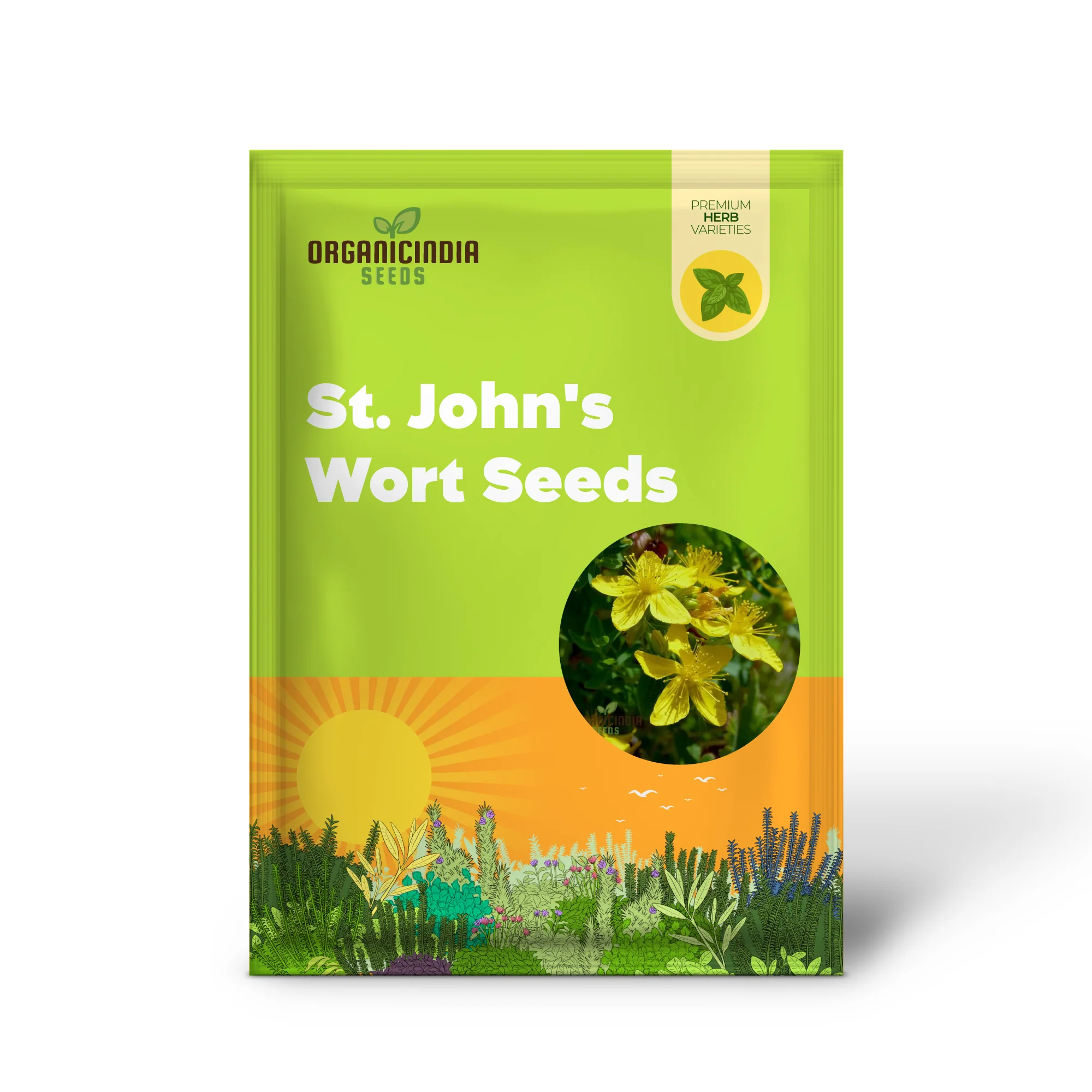 St. John's Wort Seeds for Planting - Perfect for Home Gardens and Herbal Gardens - Image 2