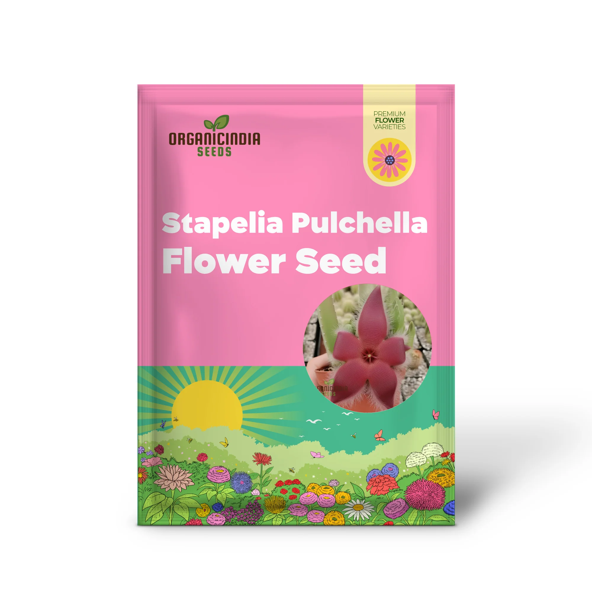 Stapelia Pulchella & Lithops Mix Succulent flower Seeds, Rare and Exotic Varieties for Your Succulent Collection High-Quality Seeds - Image 2