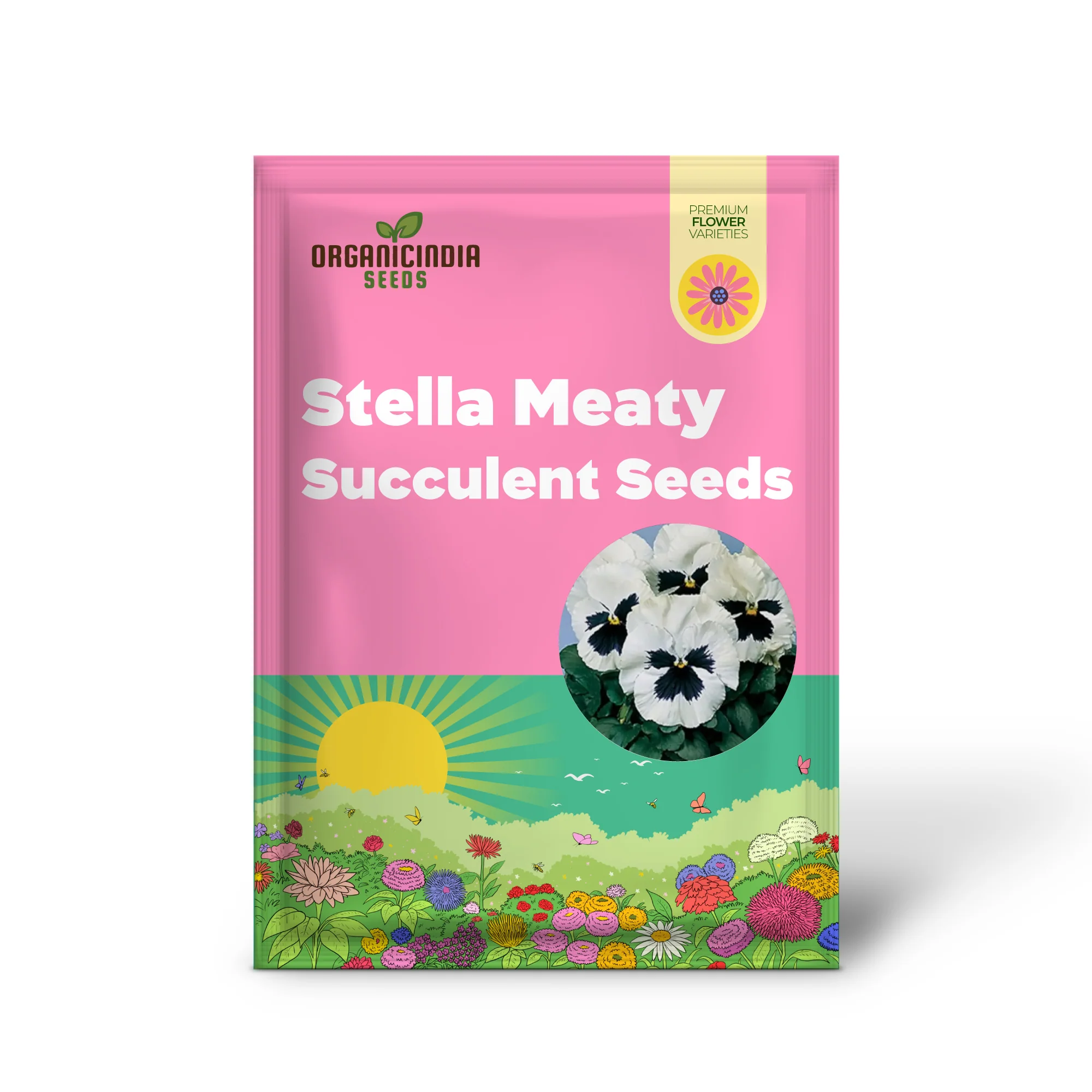 Stella Meaty Succulent Seeds for Planting - 100 pcs - Image 2