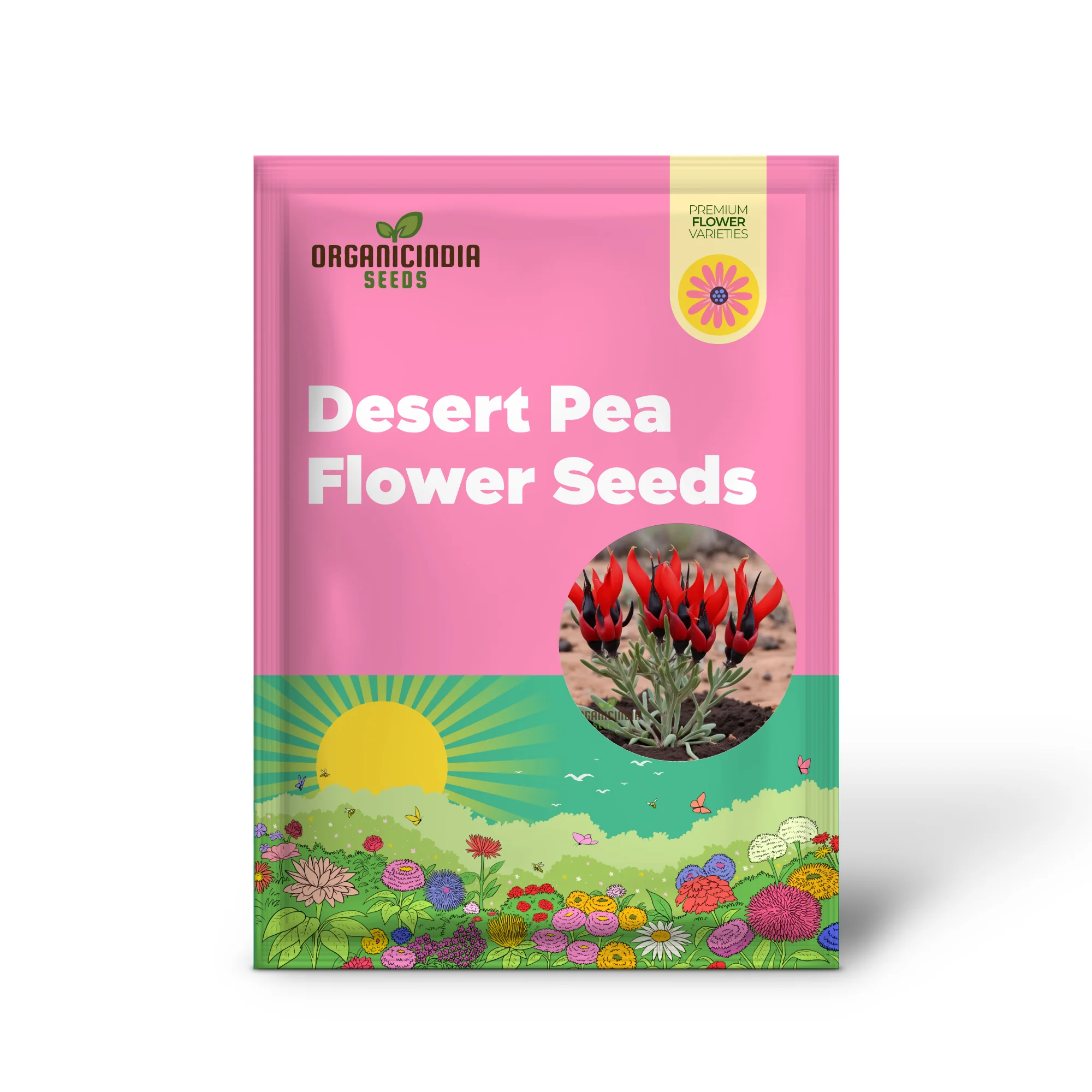 Sturt's Desert Pea Flower Seeds – Grow Exotic Australian Blooms in Your Garden - Image 2