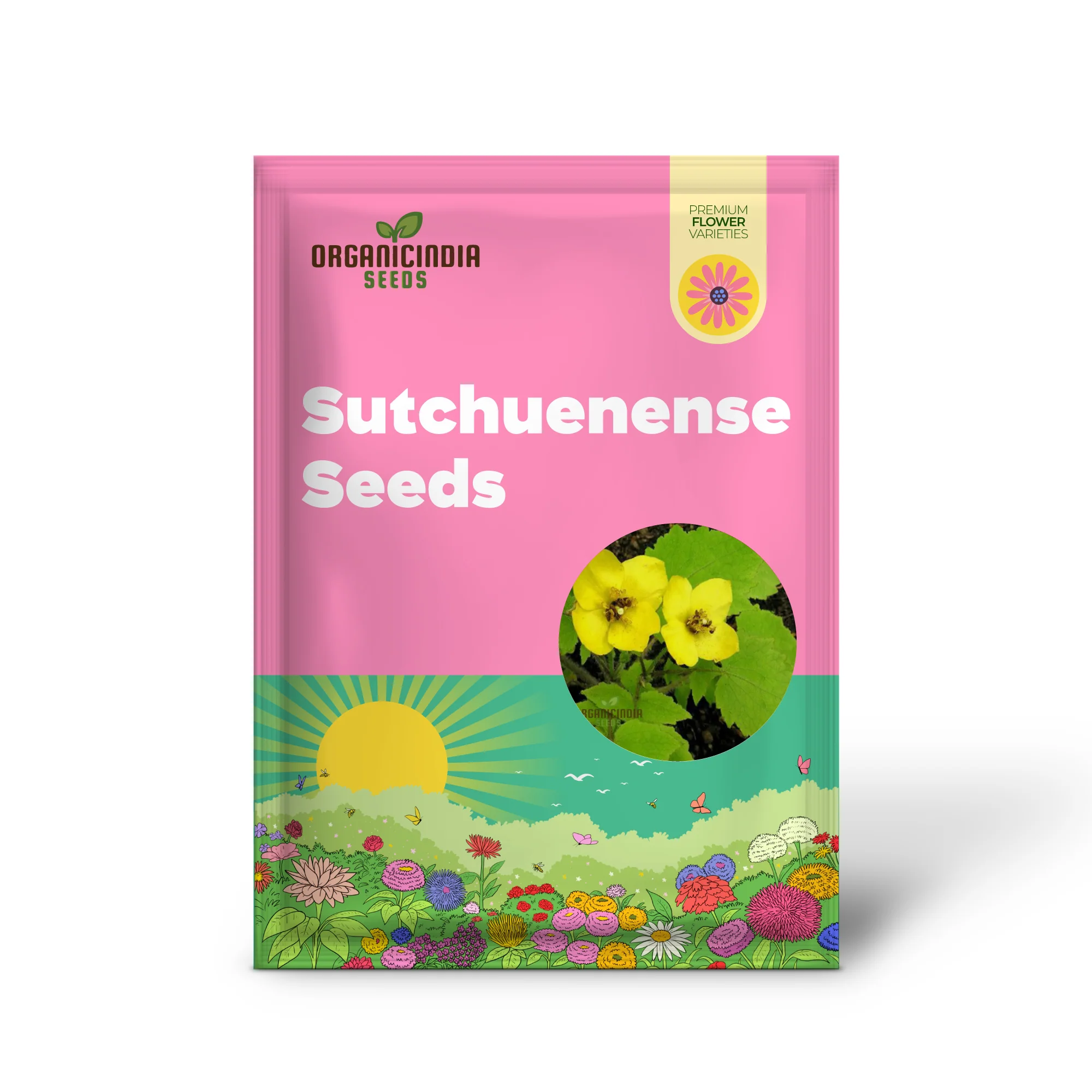 Stylophorum Sutchuenense Seeds – Rare Blooms for Your Garden - Image 2