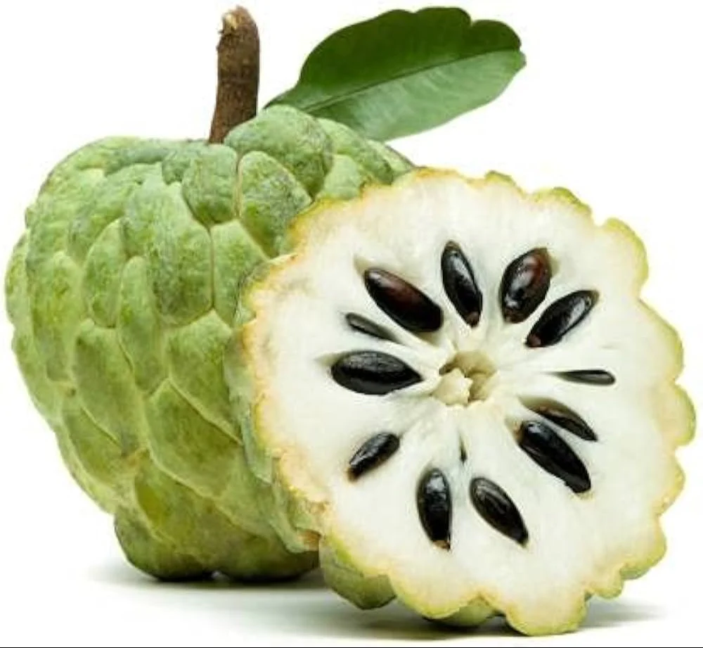 Sugar Apple Fruit Seeds - Image 5