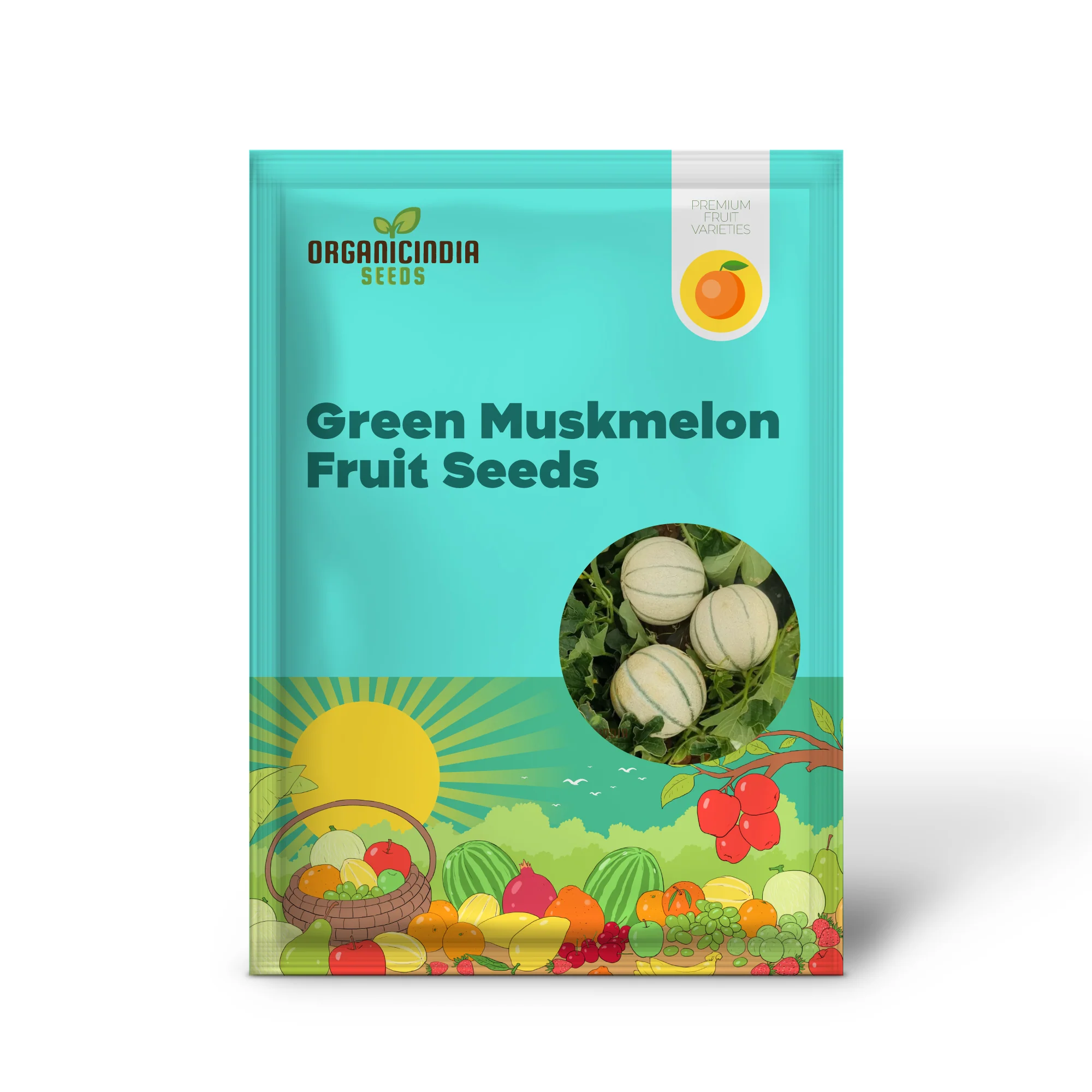 Green Muskmelon Seeds, Smooth fruit Planting Seeds For Plant Gardening - Image 2