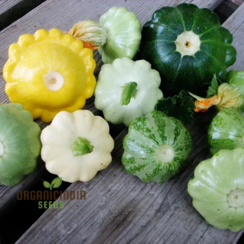 Summer Squash Seeds - Scallop Blend | Premium Gardening Seeds for Your Garden