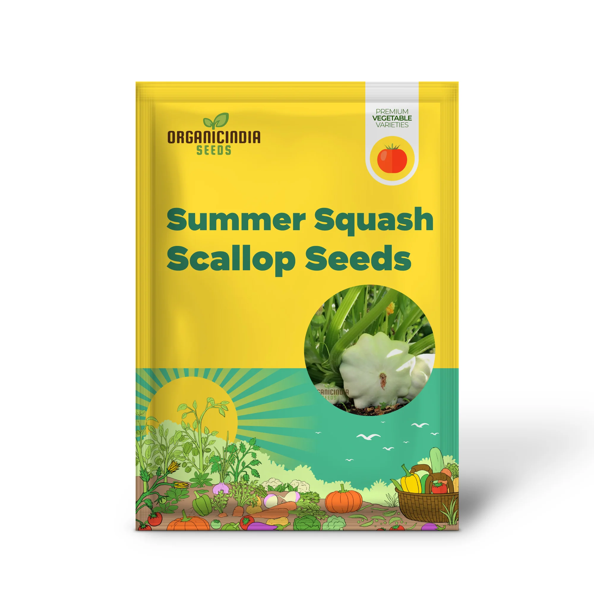 Summer Squash White Scallop Vegetable Seeds for Planting, High-Quality Seeds for Gardening, Perfect for Growing - Image 2