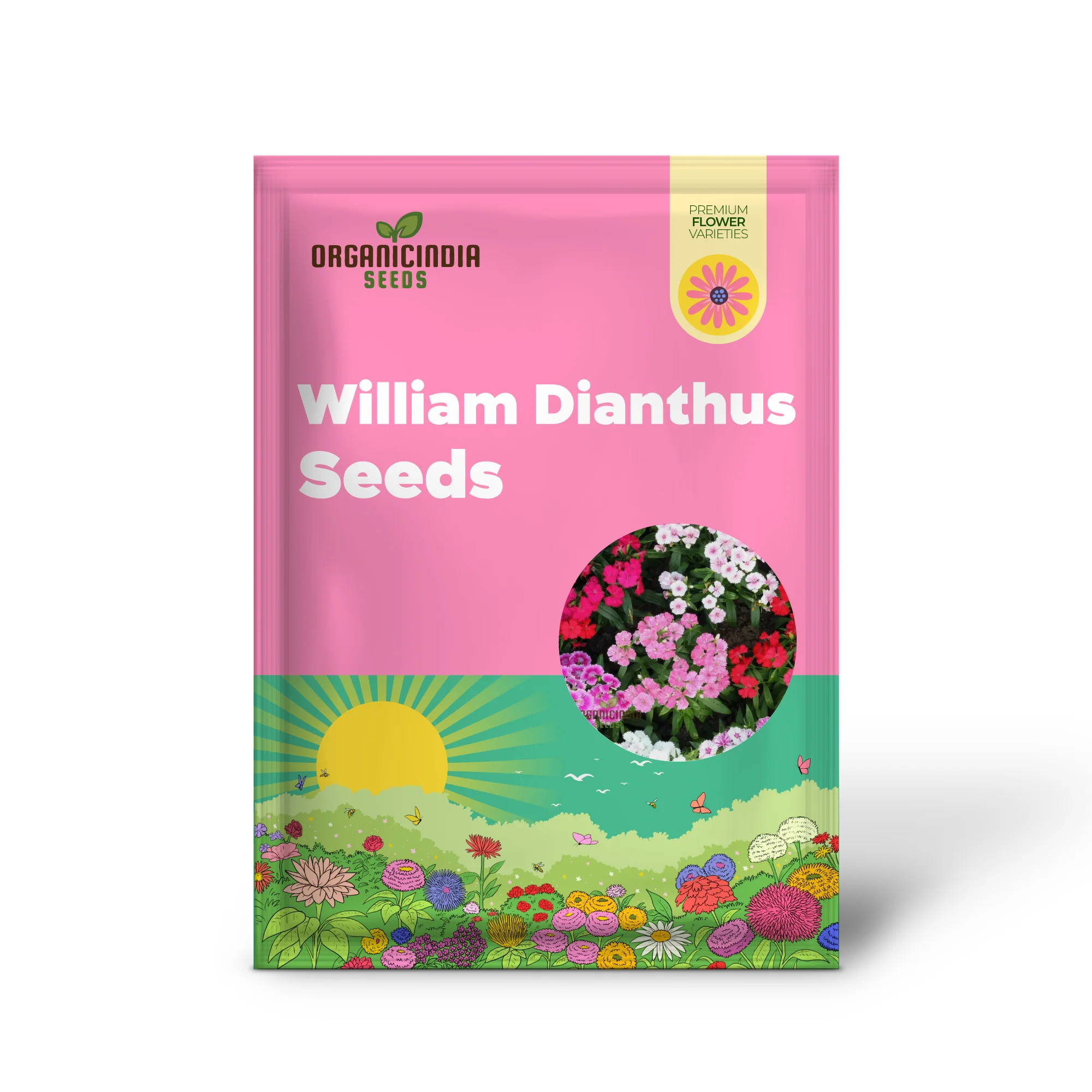 Summertime Bliss: Sweet William Mix for Sunny Days - Image 2