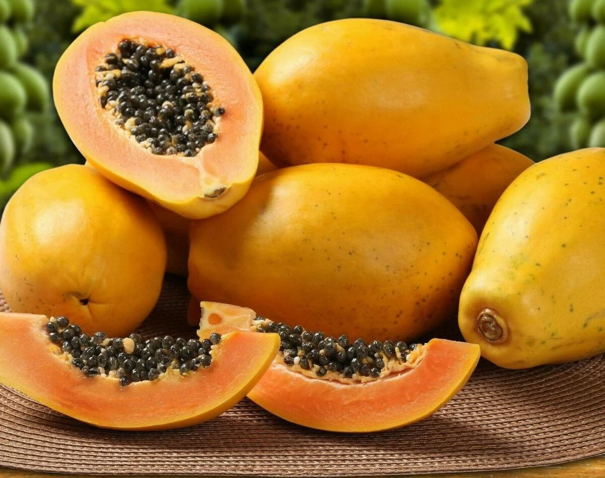 Sunset Papaya Seeds for Planting – Sweet & Juicy Tropical Fruit - Image 3