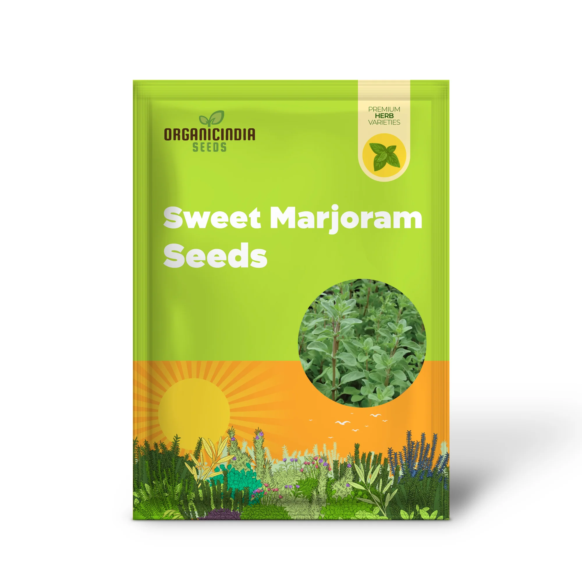 Sweet Marjoram Seeds – Prescott Fond Blanc Variety for Planting - Image 2