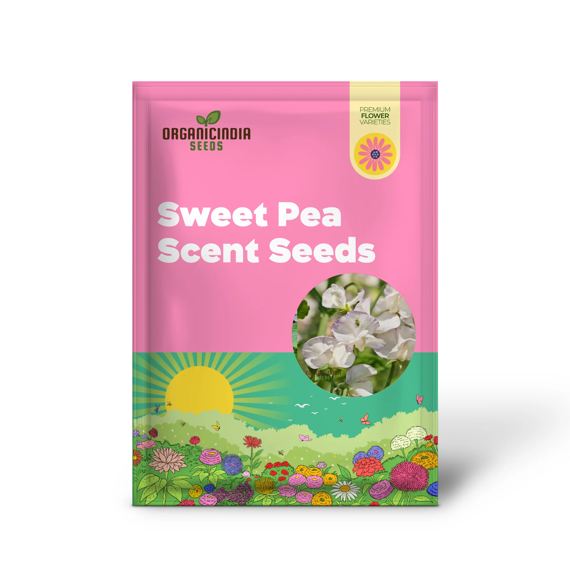 White Sweet Pea Seeds – High Scented Fragrant Garden Blooms - Image 2