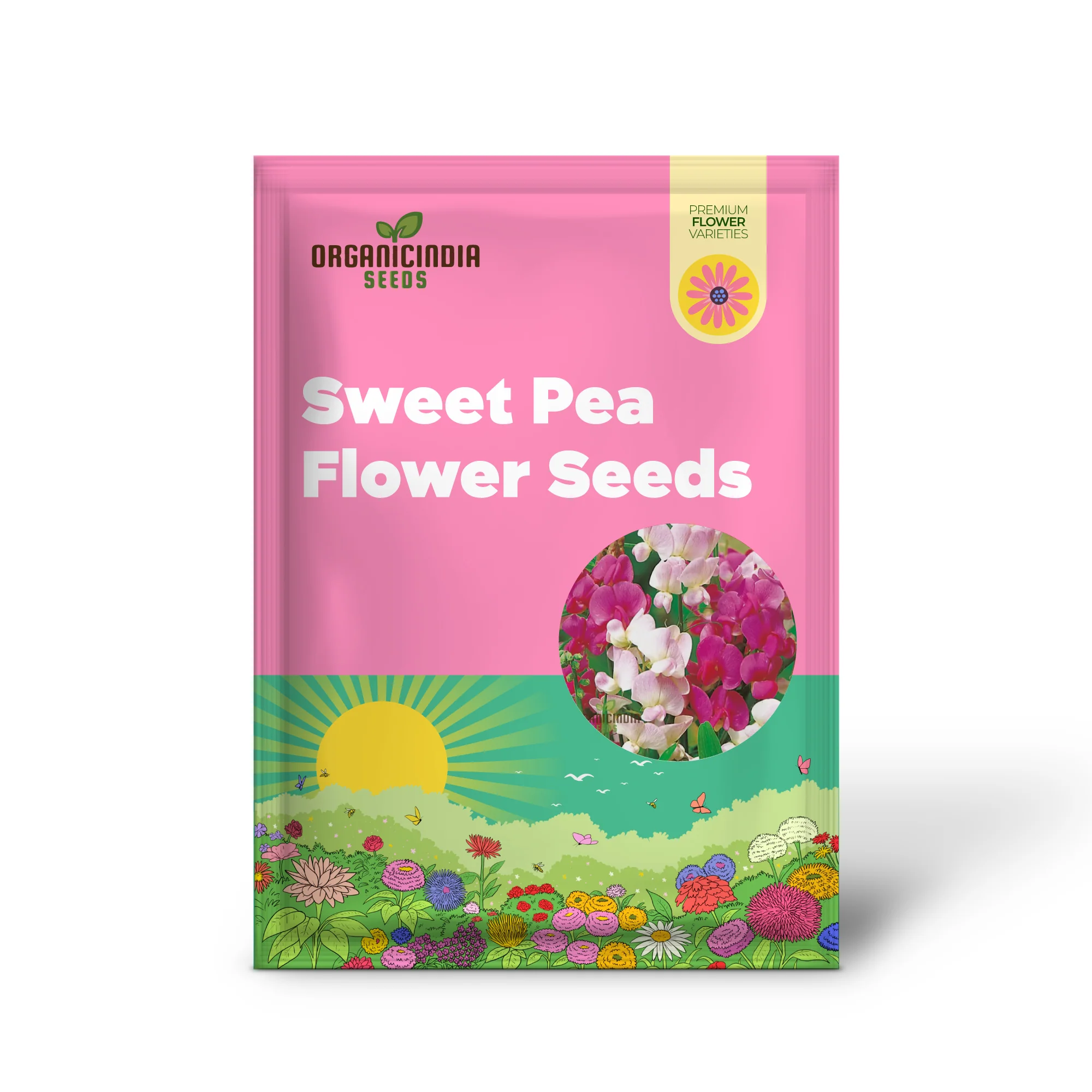 Perennial Sweet Pea Everlasting Mixture Seeds – Climbing Flowers - Image 2