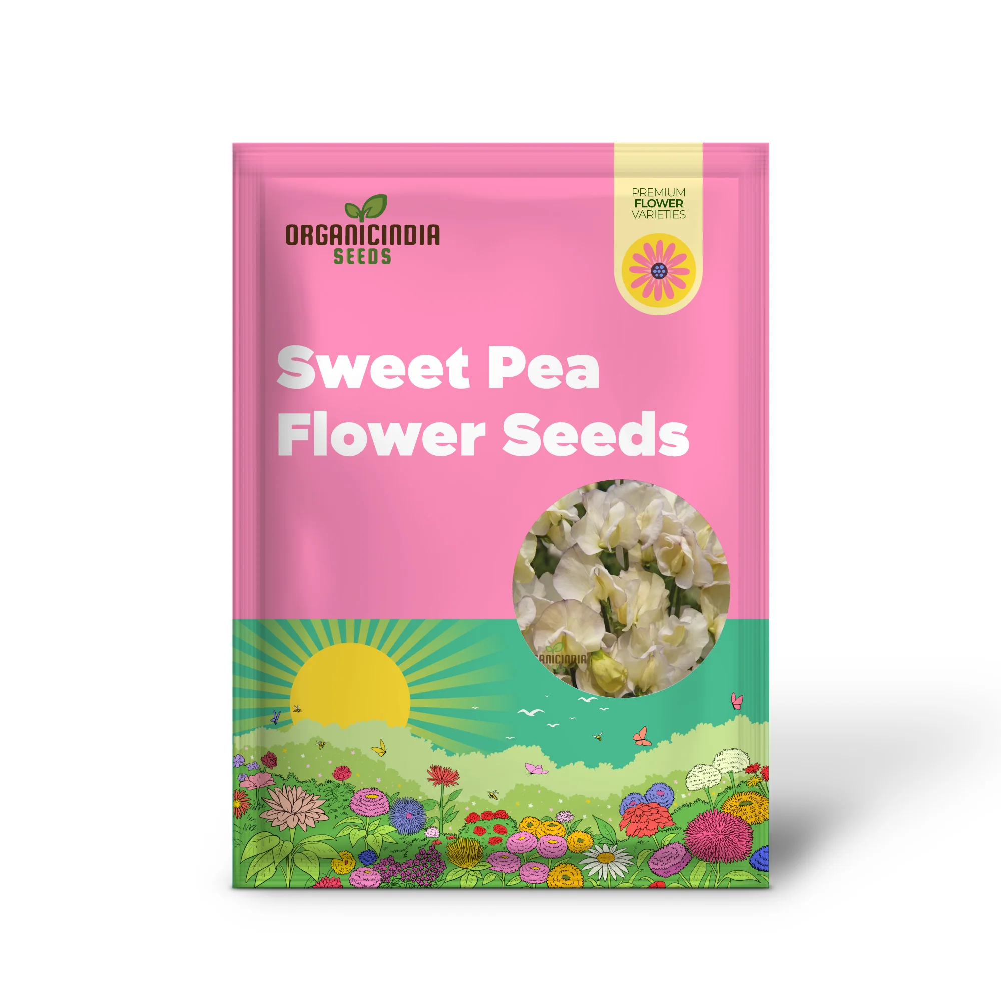 Sweet Pea (Tall) Old Times Flower Seeds For Planting, Classic, Fragrant Tall Sweet Peas for a Timeless Garden Display - Image 2