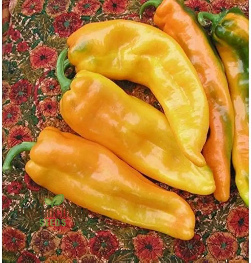 Sweet Pepper - F1 Ringo Vegetable Seeds for Planting, Premium Quality Seeds for Home Garden, Perfect for Growing - Image 3