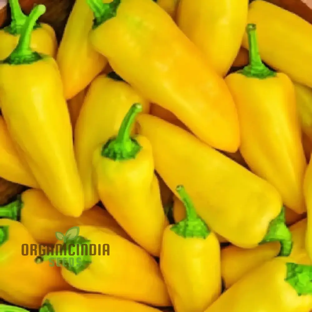 Sweet Pepper Lemon Dream Vegetable Seeds, Vibrant Color Sweet Flavor Perfect for Garden - Image 3