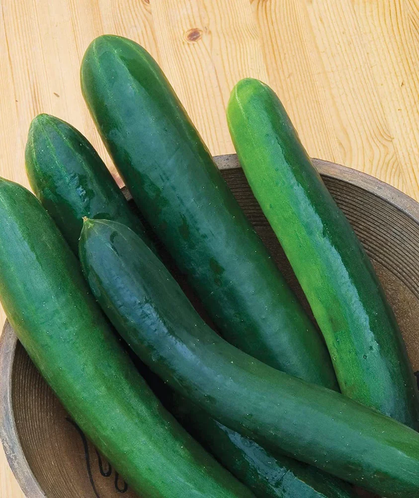 Sweet Success Cucumber Seeds – Seedless, High-Yield & Sweet Greenhouse Hybrid - Image 2