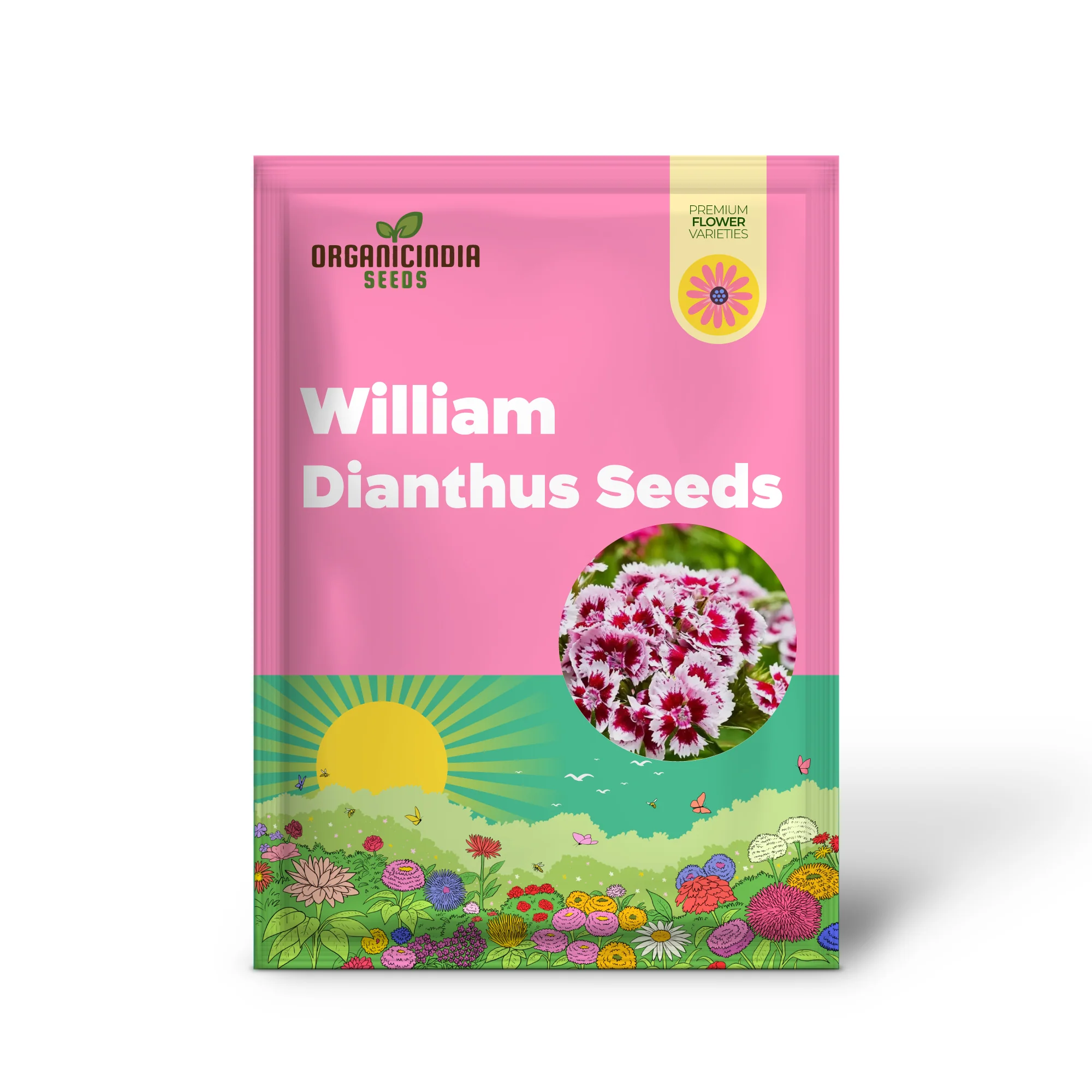Sweet William Dianthus Summertime Mix Seeds for Planting and Gardening - Image 2
