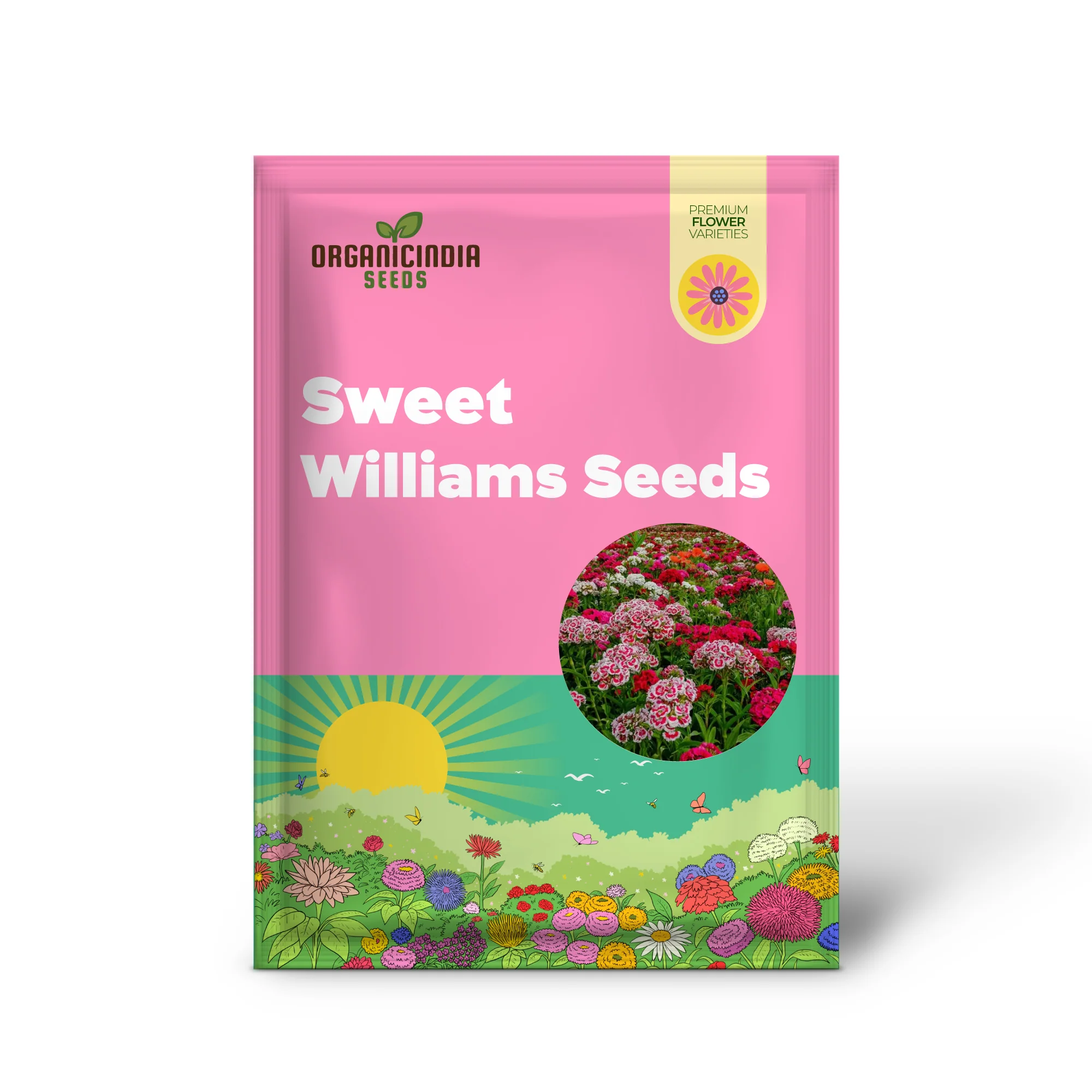 Sweet Williams Seeds - Winter Blooming Dianthus Barbatus Mix for Vibrant Gardening Enthusiasts - Premium Quality Seeds for Stunning Seasonal Flowers - Image 2