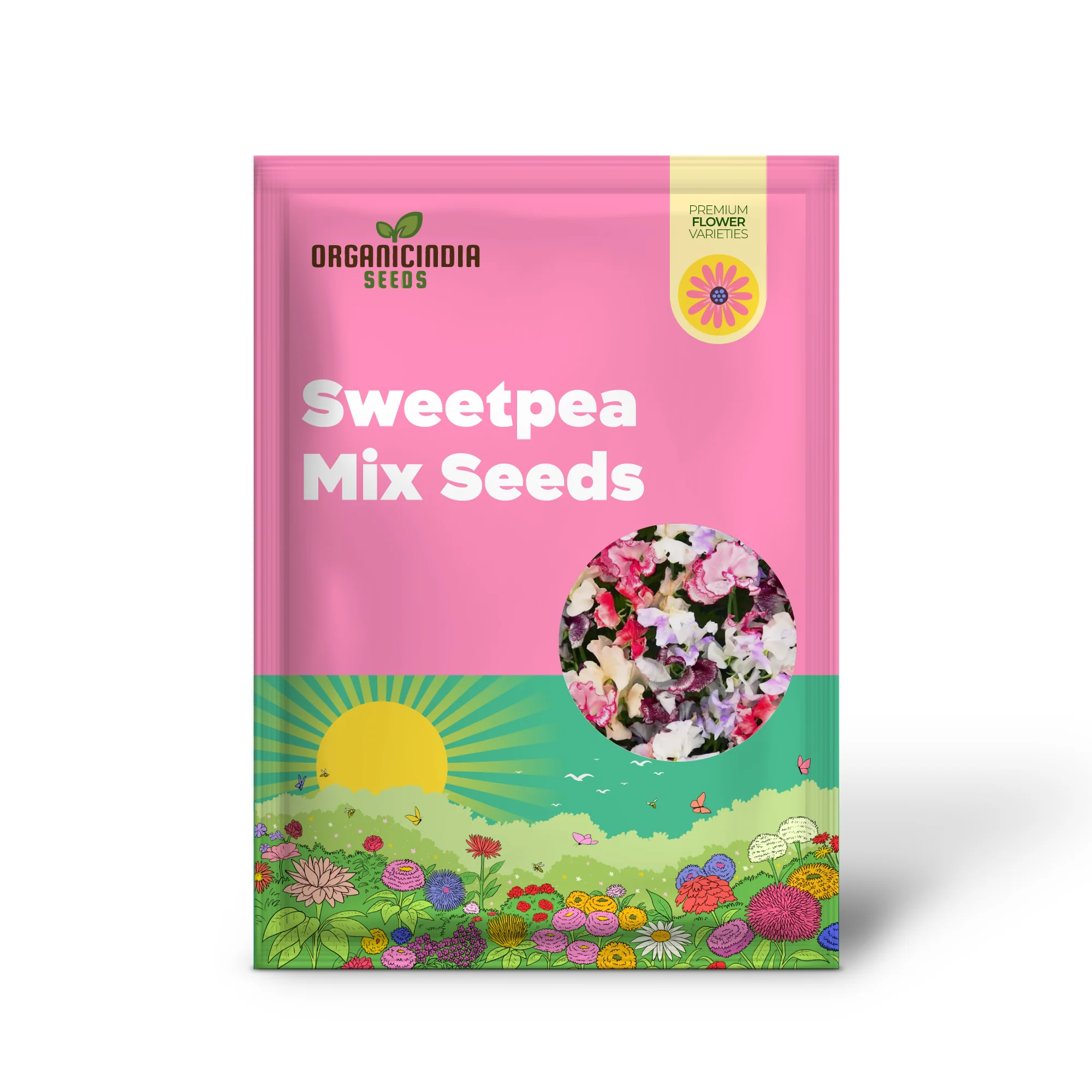 Sweetpea Streamer Mix Seeds for Planting and Gardening Enthusiasts - Image 2