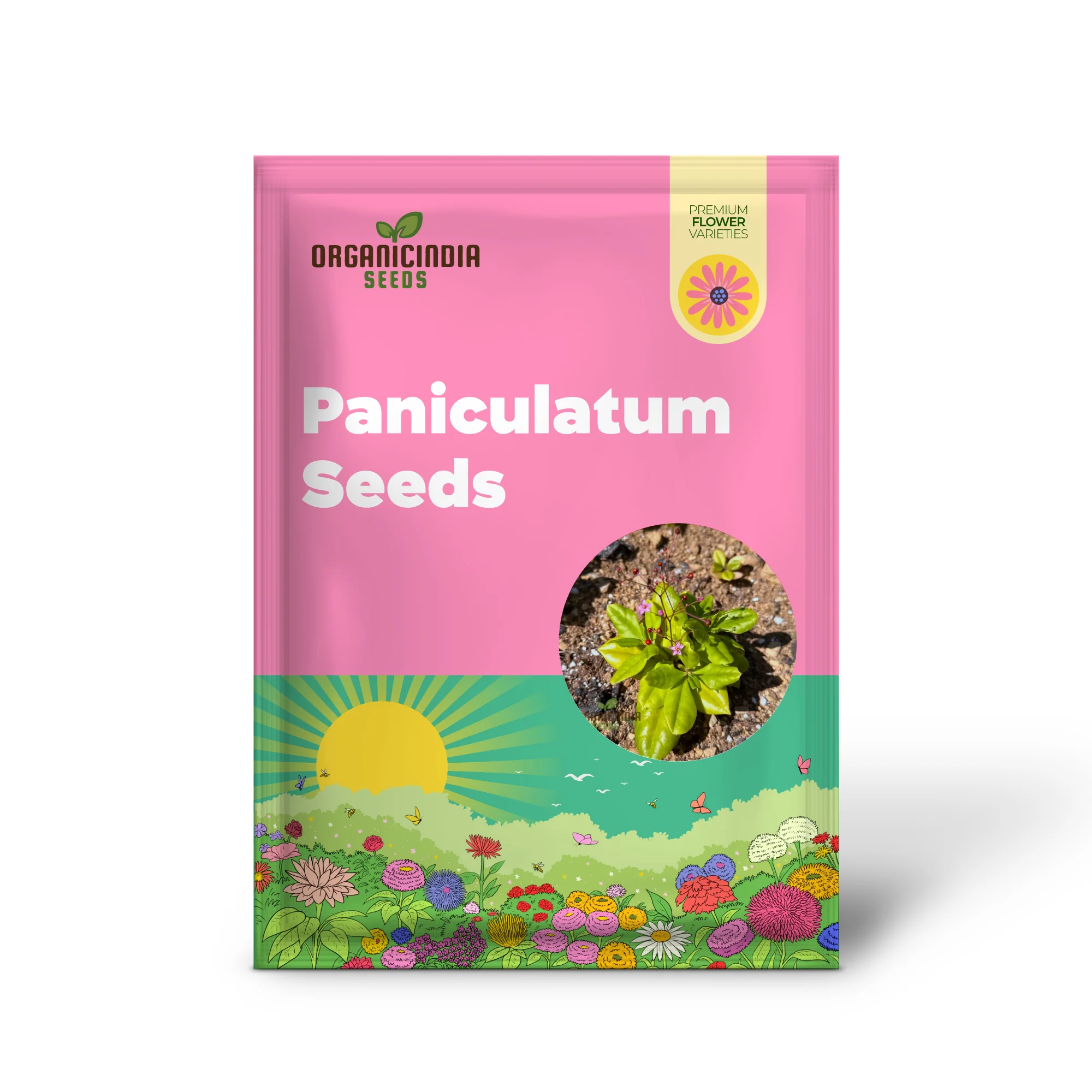 Talinum paniculatum 'Jewels of Opar' Seeds – Elevate Your Gardening with Delicate Beauty and Sustainable Growth! - Image 2