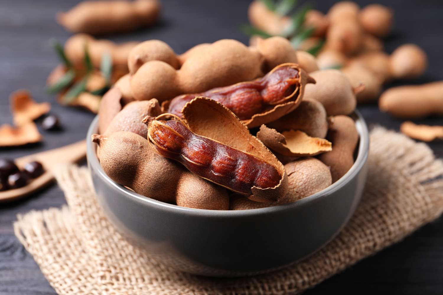 Tamarind Fruit Tree (Tamarindus indica) – Bean Pod Legume Seeds - Image 4