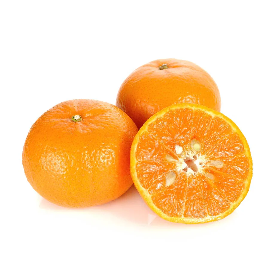 Tangelo Seeds for Planting – Grow Sweet & Juicy Orlando & Minneola Citrus Fruits - Image 2
