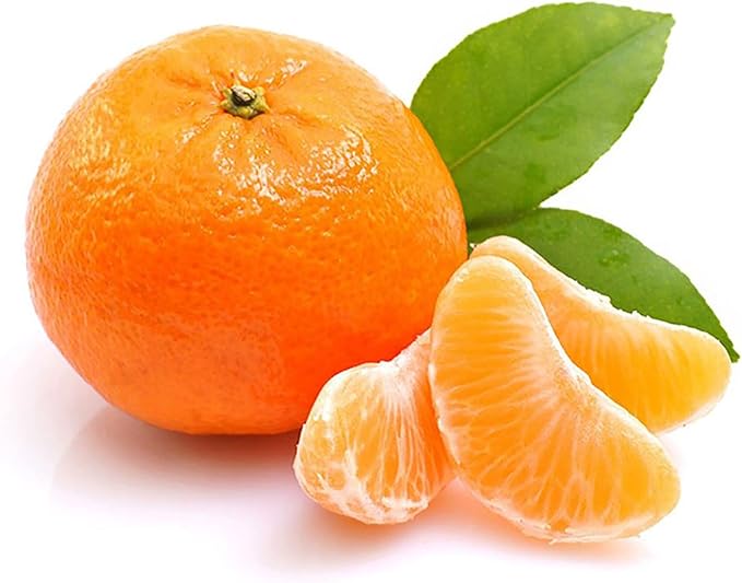 Tangerine Fruit Seeds for Planting – Citrus Reticulata, Evergreen, Fragrant, Sweet Juice, GMO-Free, Ideal for Garden - Image 3