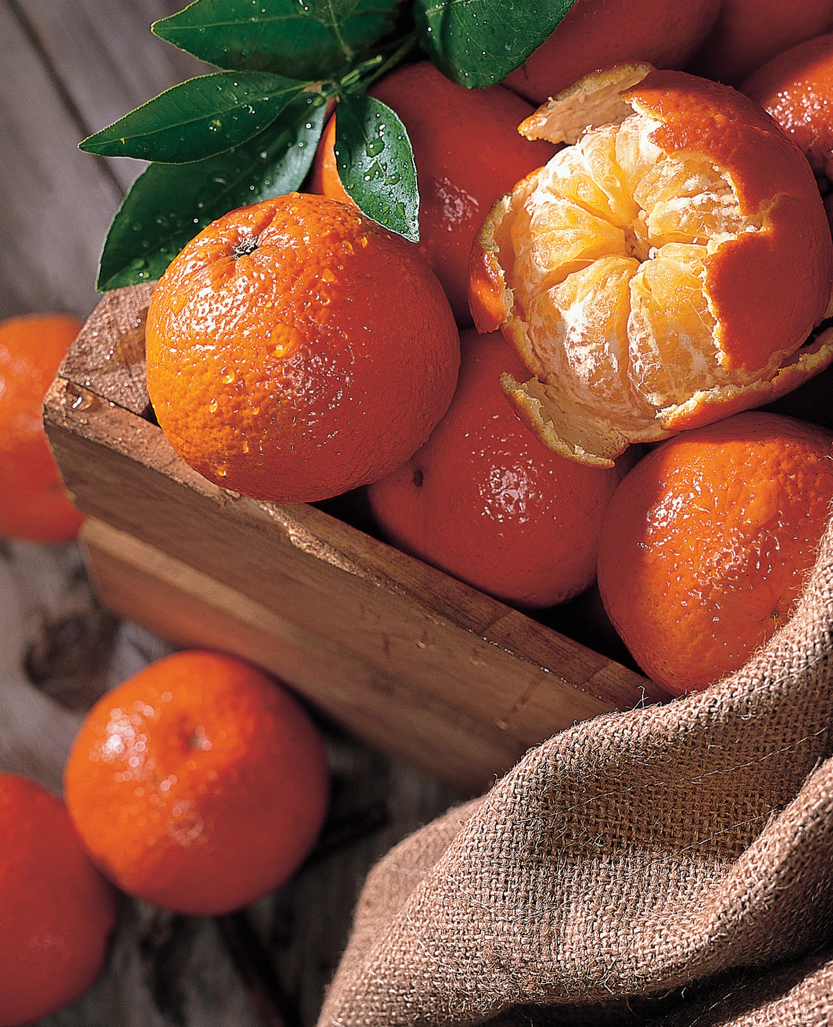 Temple Orange Seeds for Planting – Grow Sweet & Juicy Tangor Citrus Fruits - Image 3