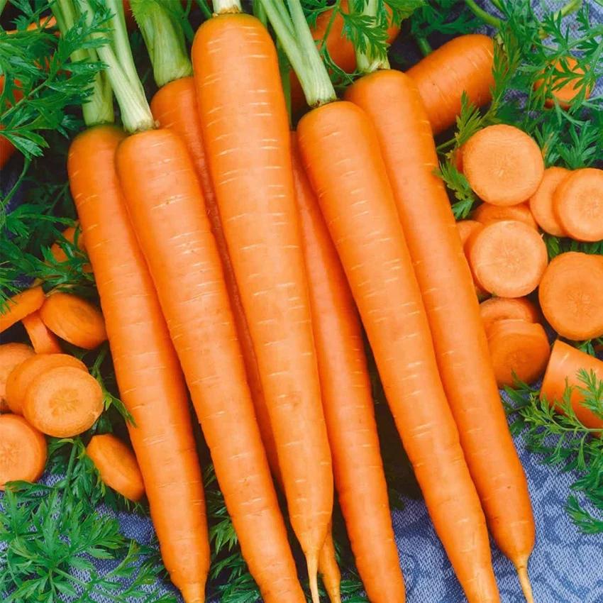 Tendersweet Carrot Seeds β Heirloom, Sweet & Crisp - Grow Fresh Carrots
