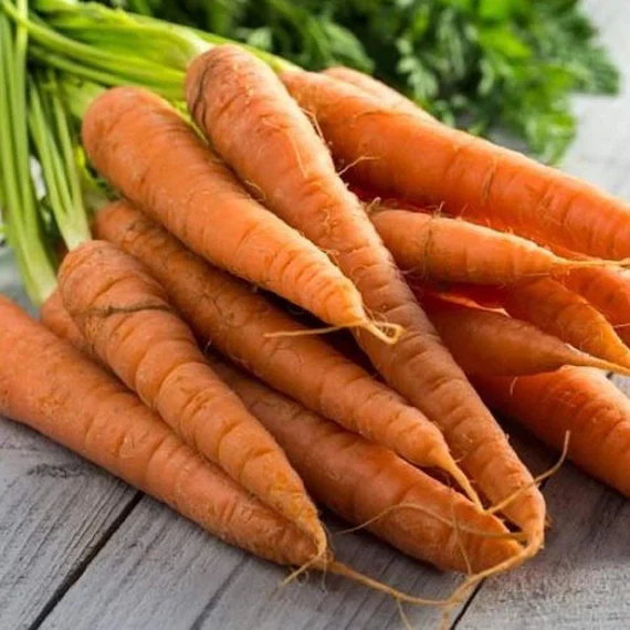 Tendersweet Carrot Seeds β Heirloom, Sweet & Crisp - Grow Fresh Carrots - Image 3