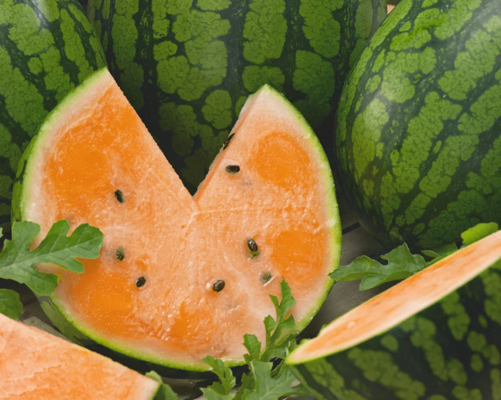 Tendersweet Orange Watermelon Seeds - Image 5