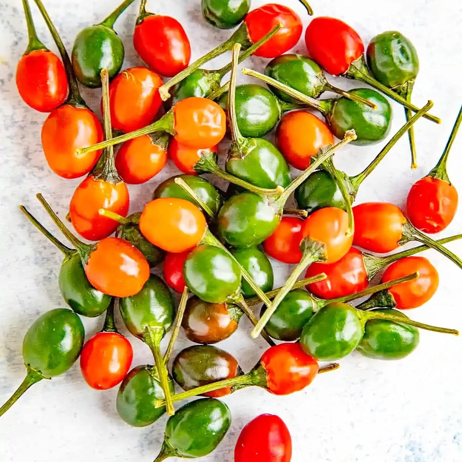 Thai Bird's Eye Chili Pepper Seeds - Fast-Growing, GMO-Free for Outdoor Vegetable Gardens - 100 Pcs - Image 3